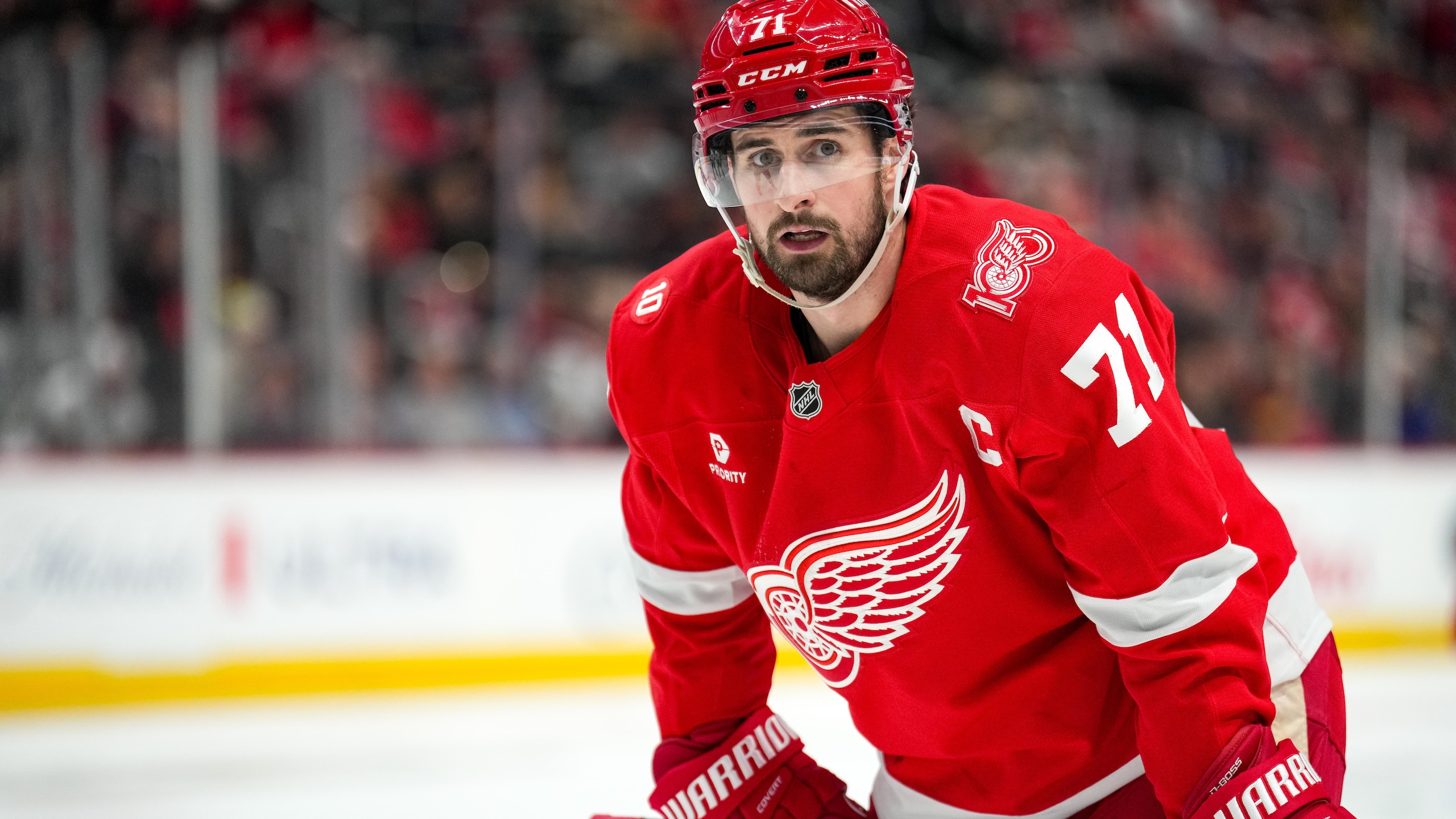 Vegas Golden Knights v Detroit Red Wings Vegas Golden Knights v Detroit Red Wings