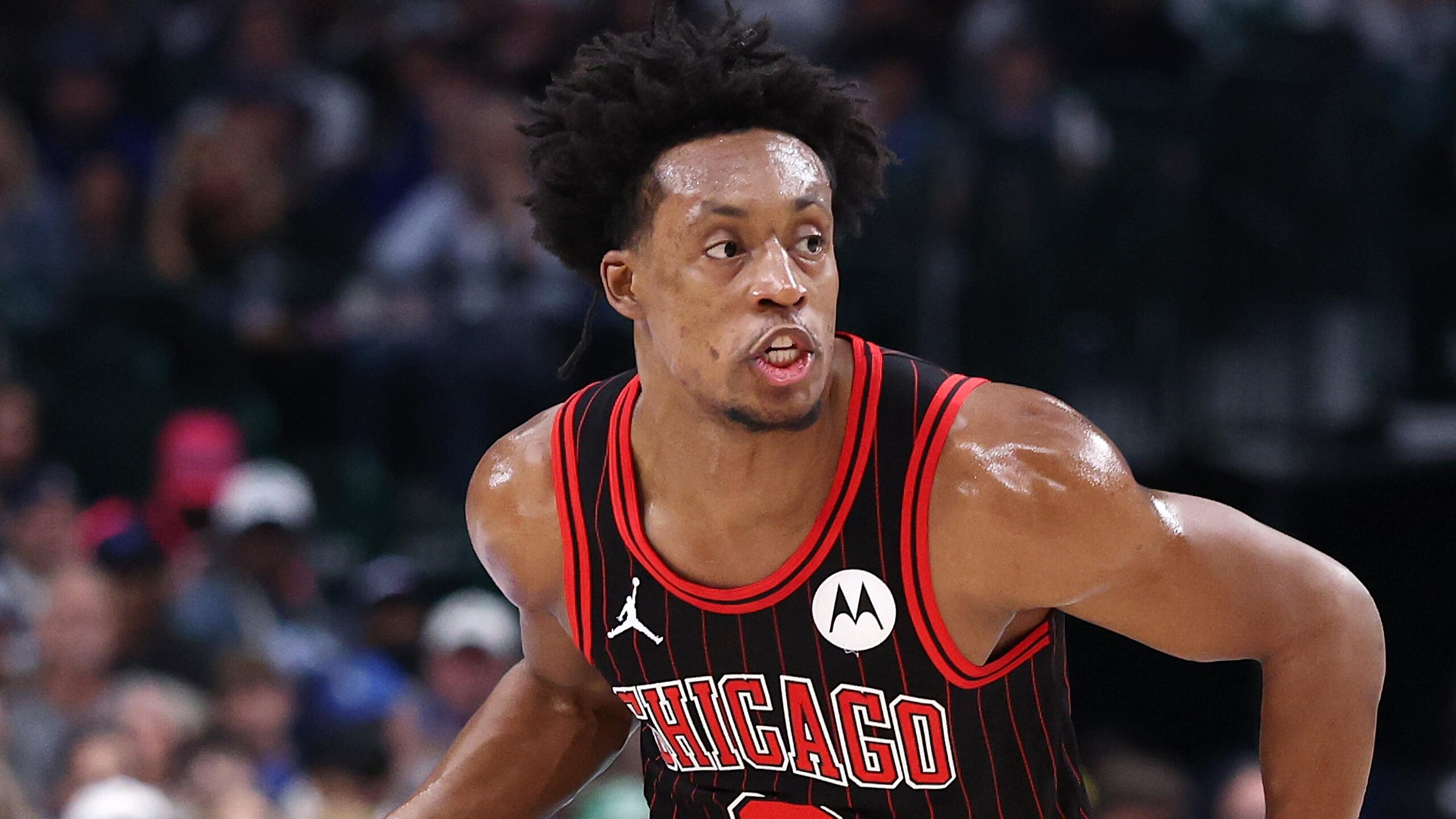 Chicago Bulls v Dallas Mavericks