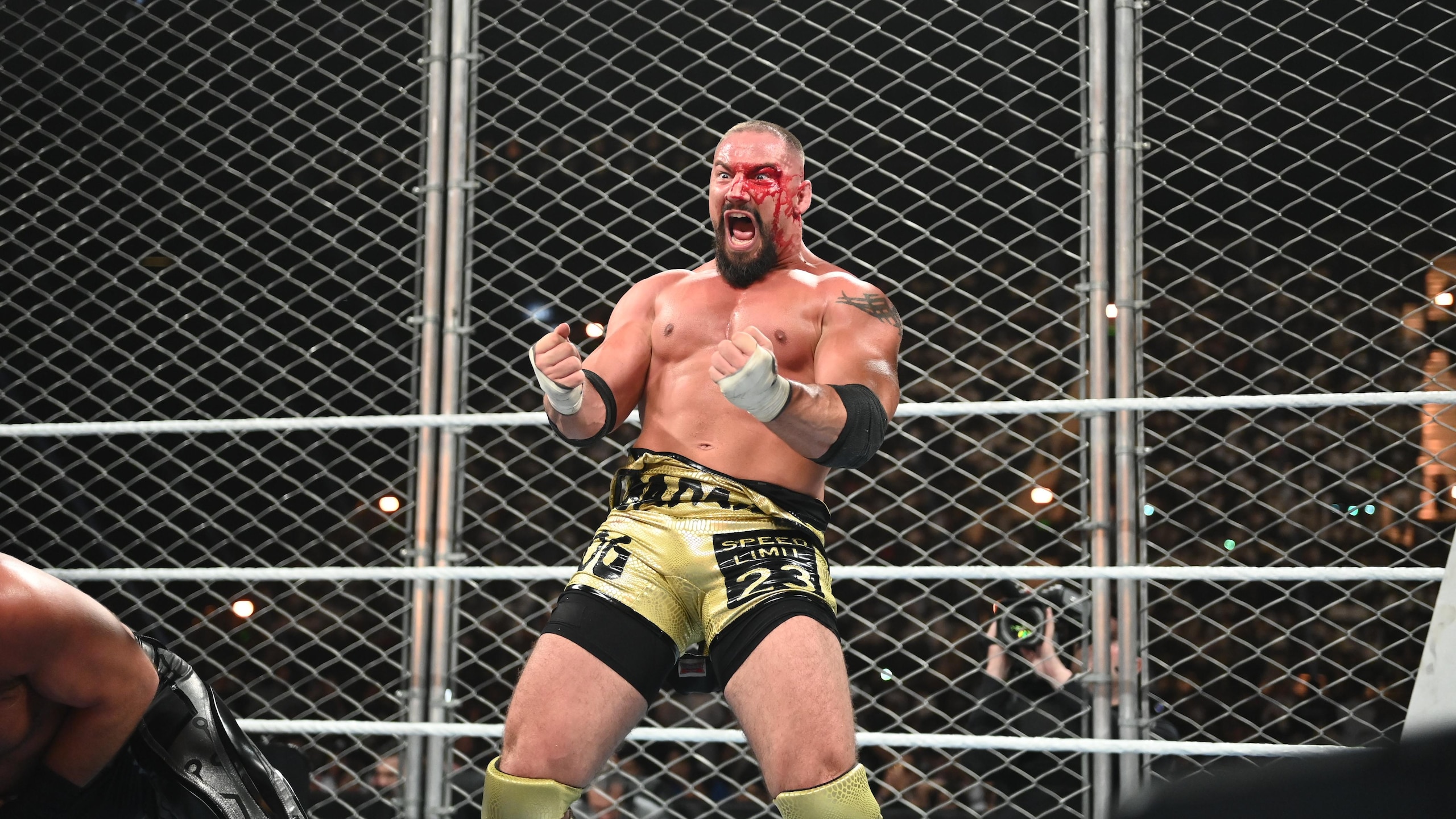 WWE: Night Of Champions