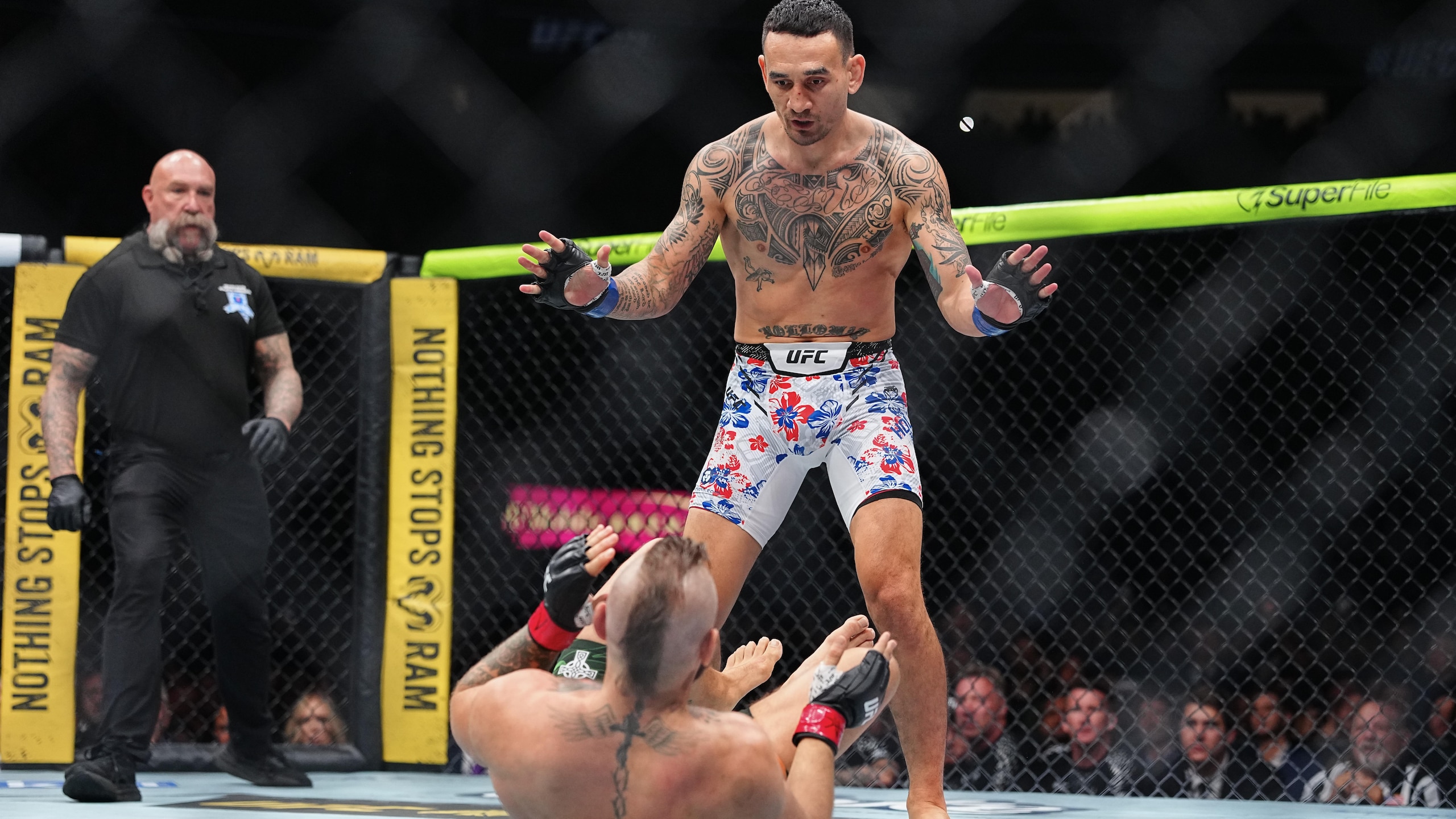 UFC 329: McGregor v Holloway 2