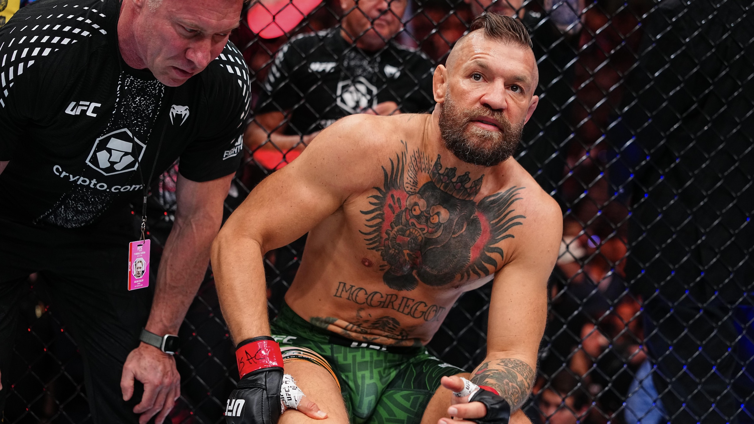 UFC 329: McGregor v Holloway 2