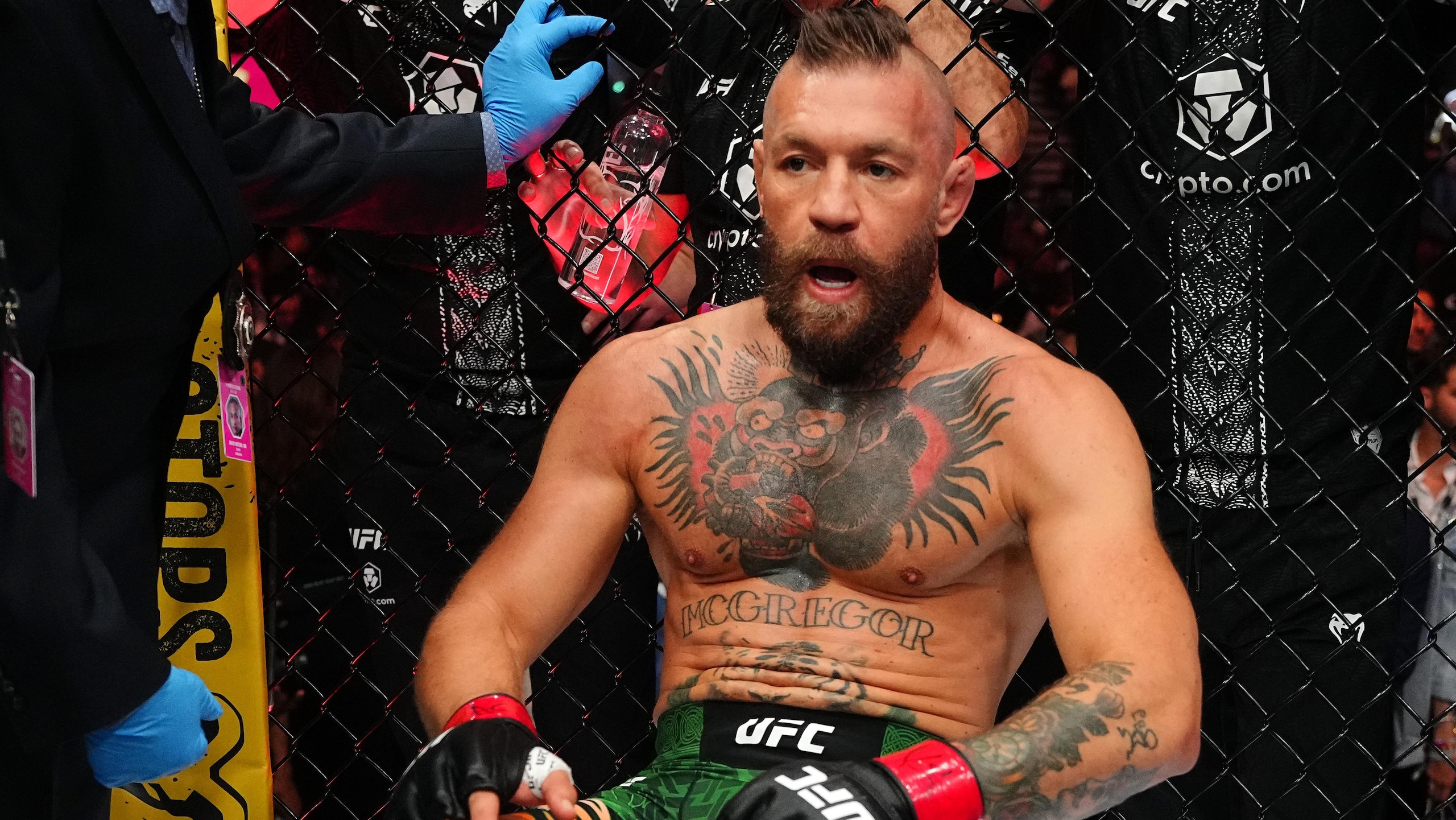 UFC 329: McGregor v Holloway 2 UFC 329: McGregor v Holloway 2