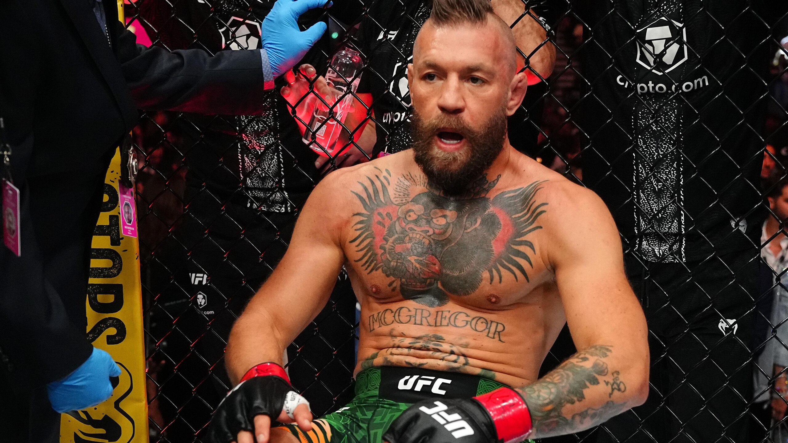 UFC 329