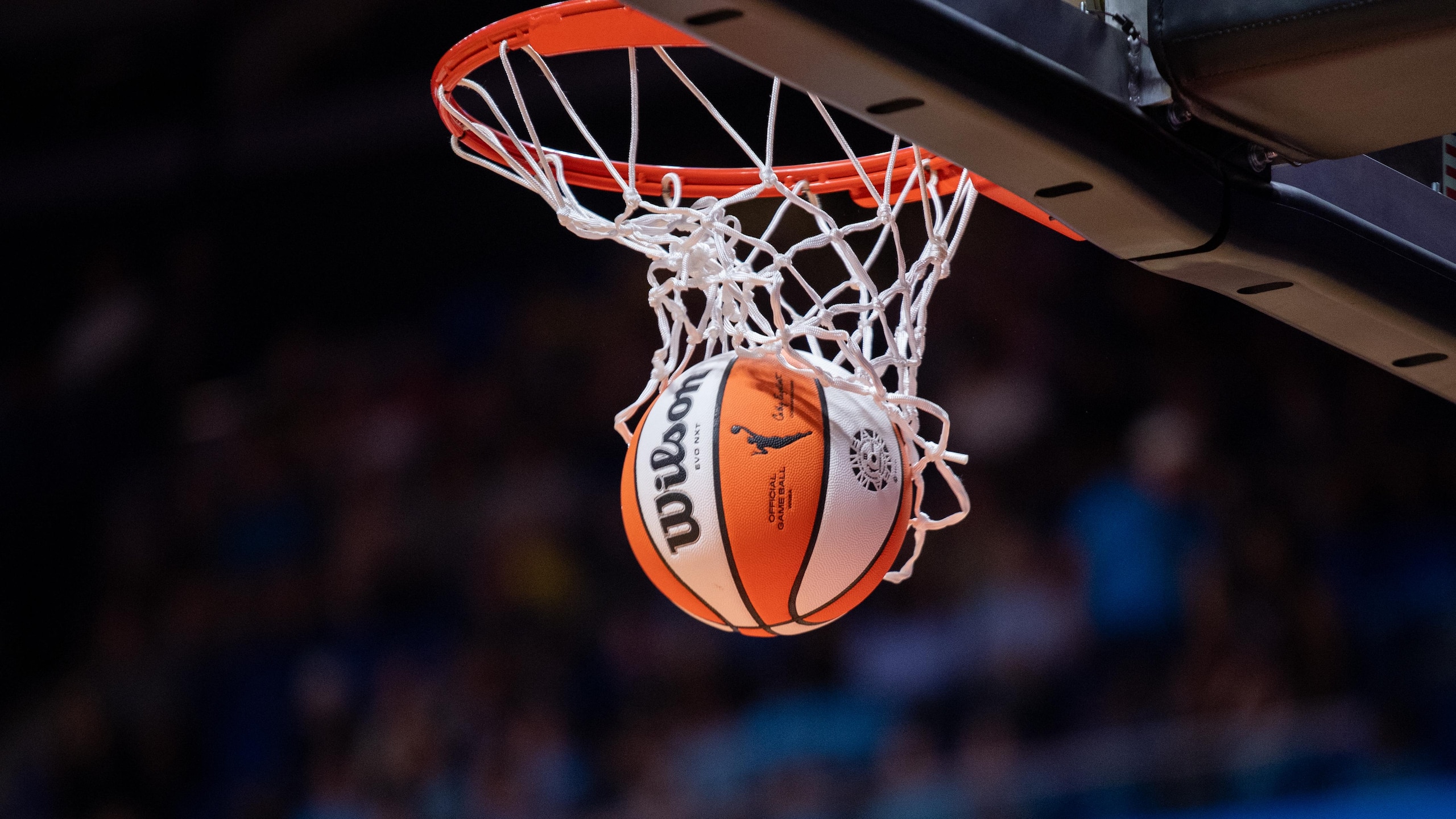 WNBA: JUL 14 Portland Fire at Connecticut Sun