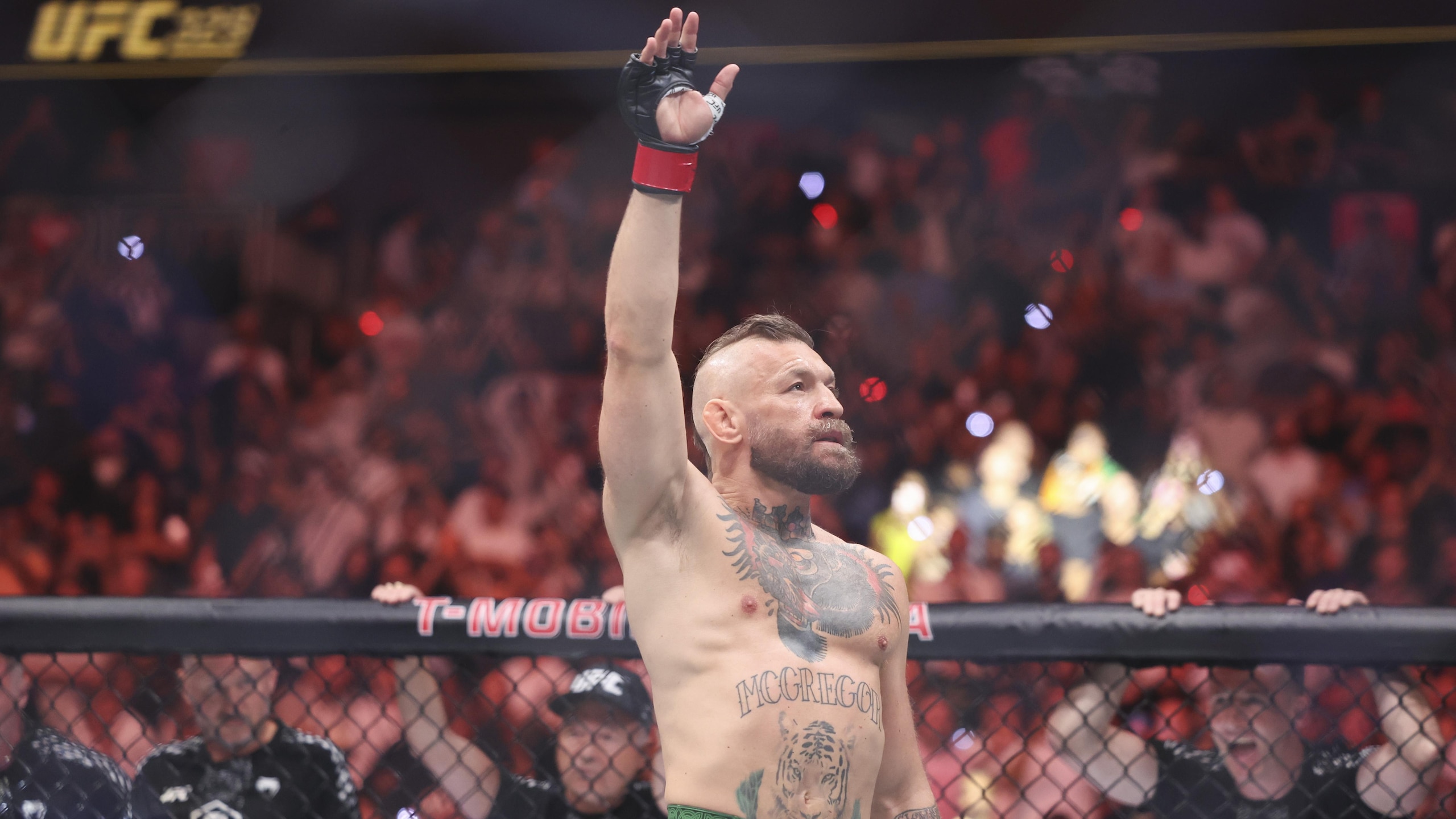 UFC 329