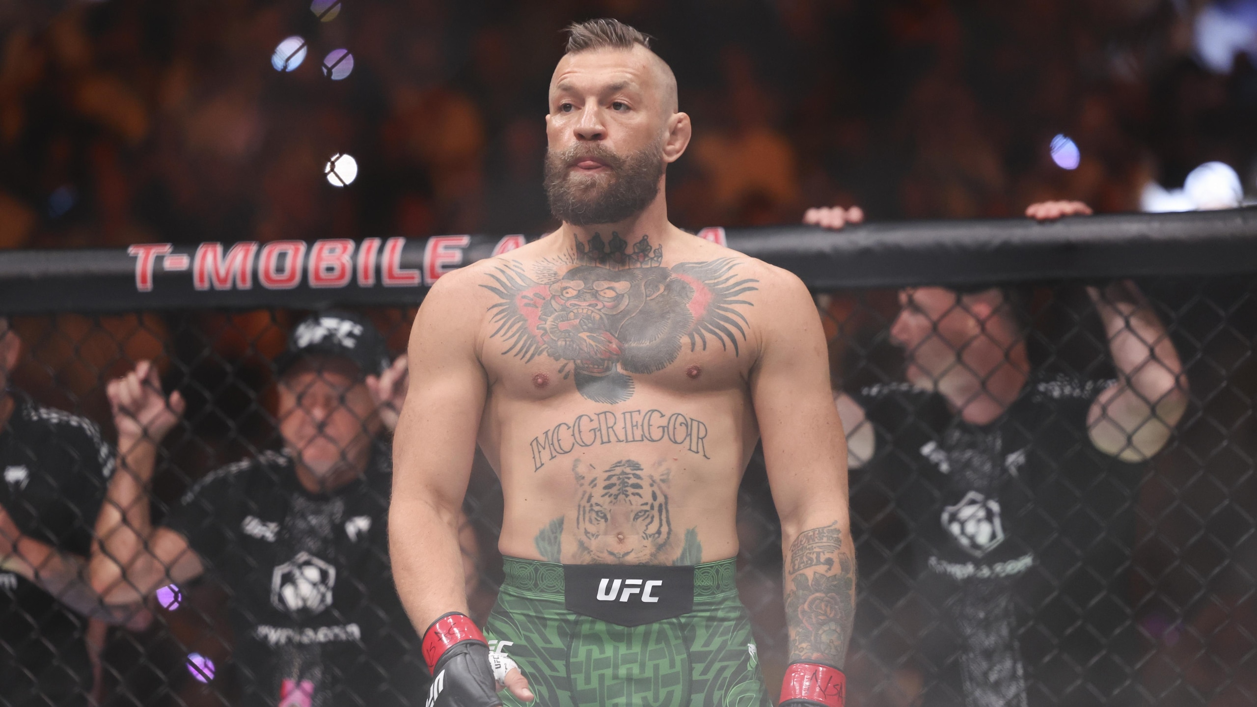 UFC 329