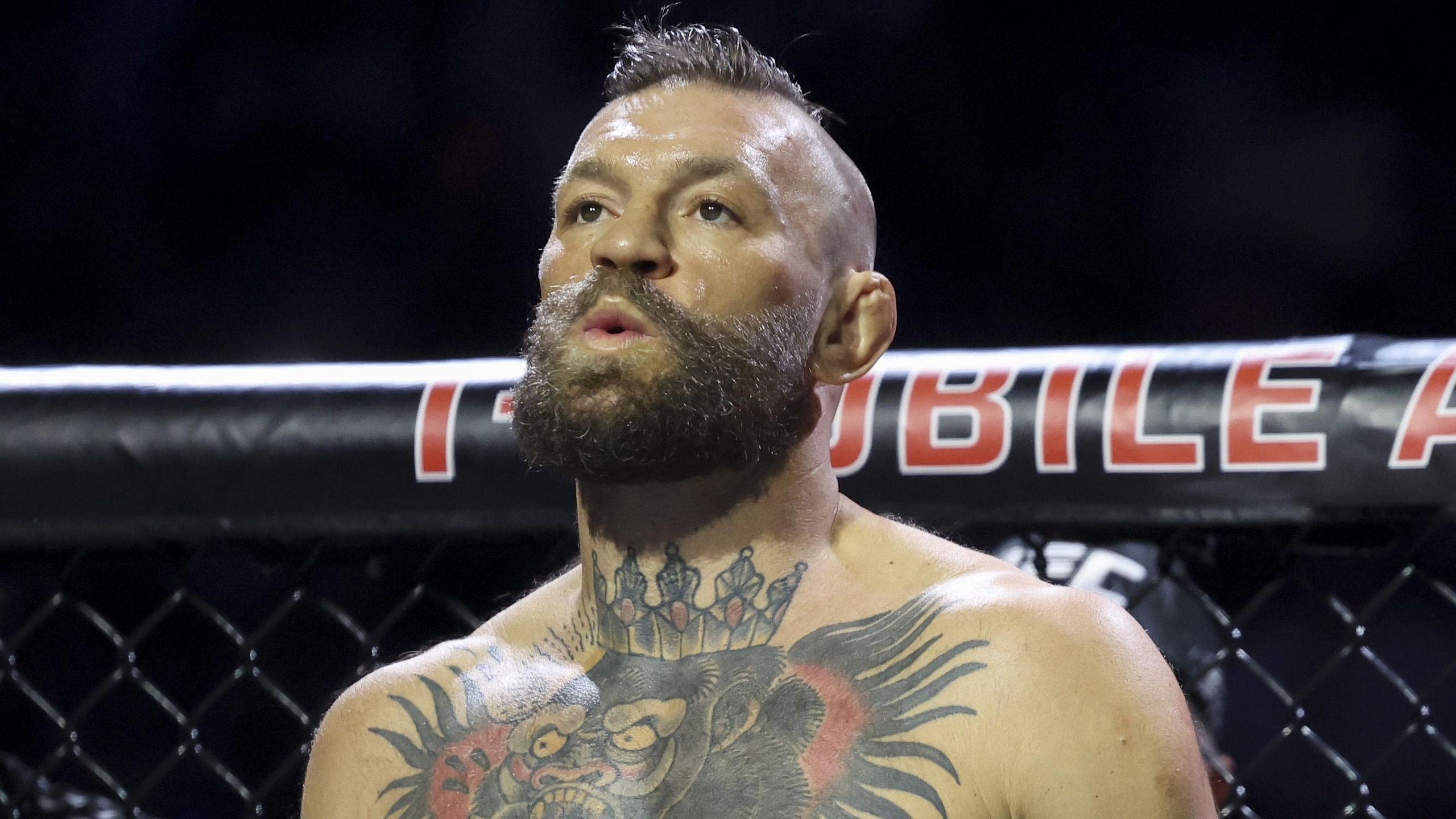 UFC 329 UFC 329