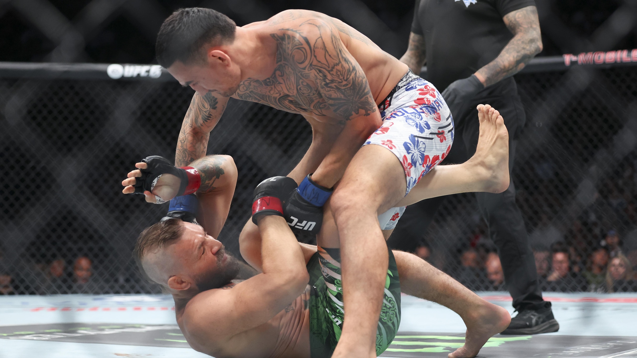 UFC 329