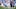 Argentina Players Investigated by FIFA for Spain Fight in World Cup Final Video