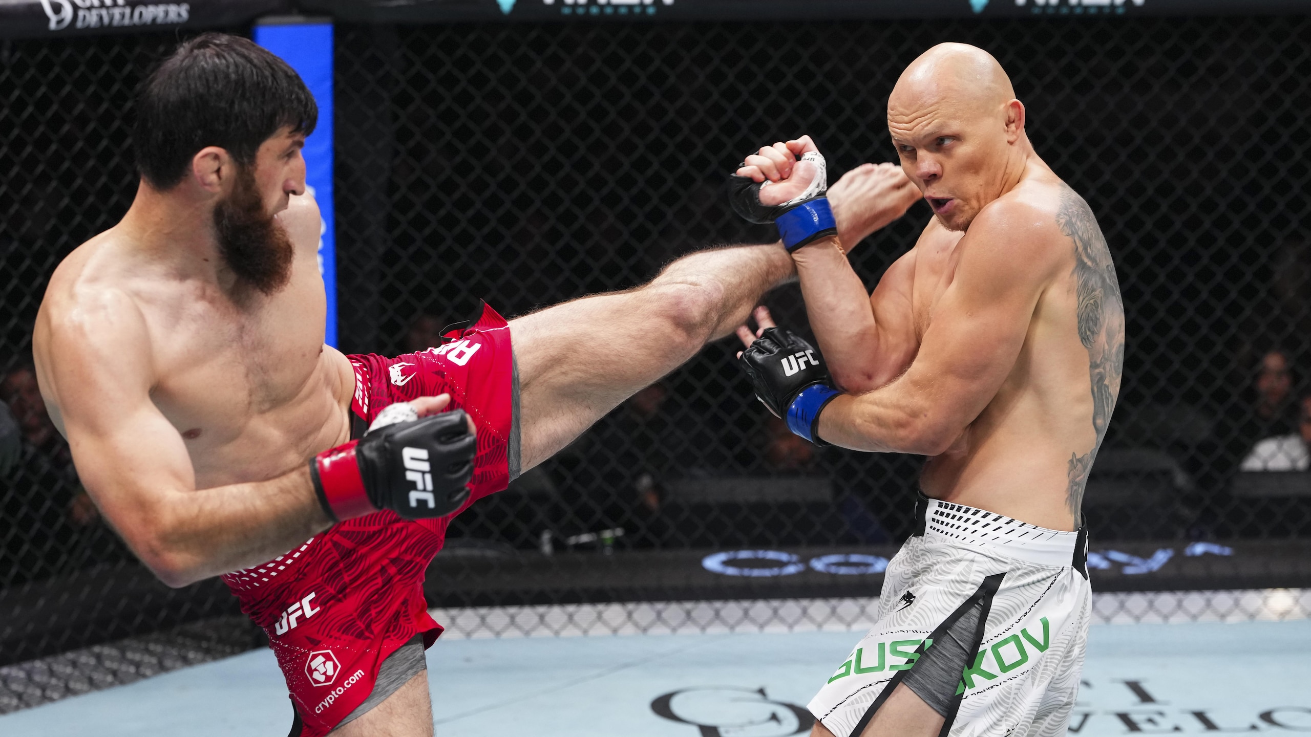 UFC Fight Night: Ankalaev v Guskov