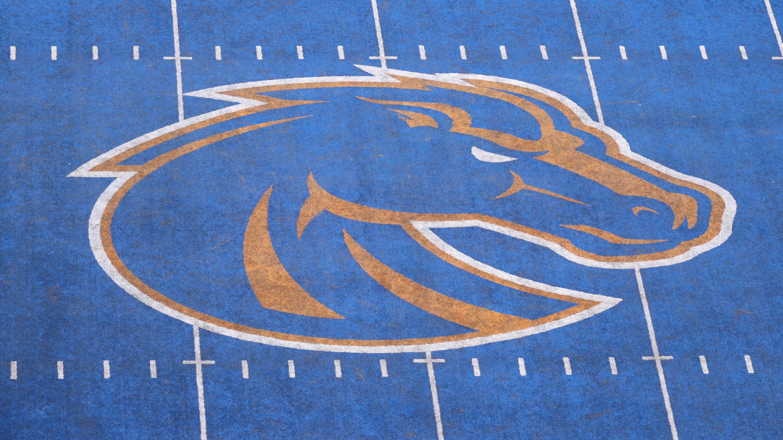 COLLEGE FOOTBALL: SEP 17 UT Martin at Boise State