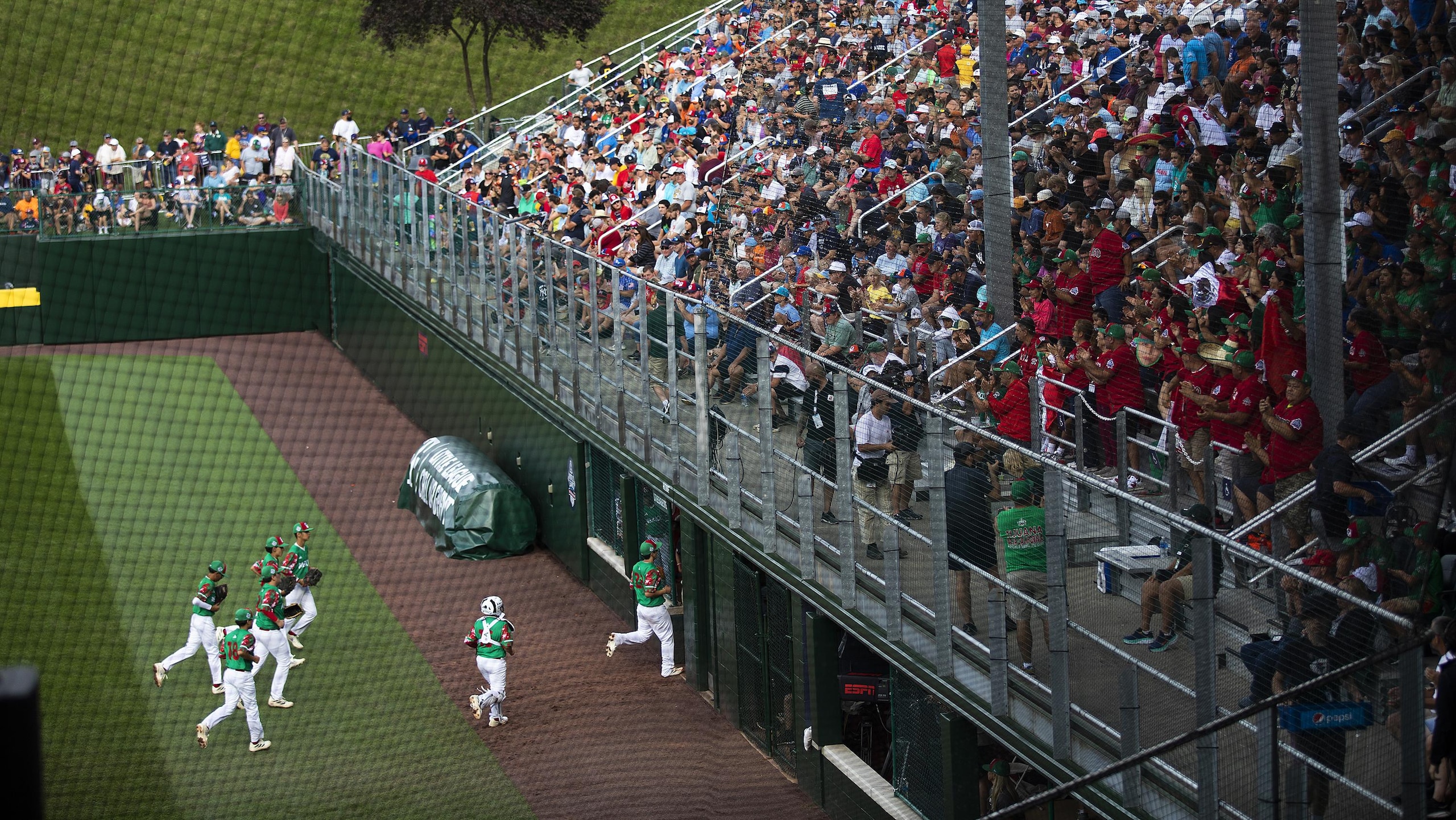 Little League World Series