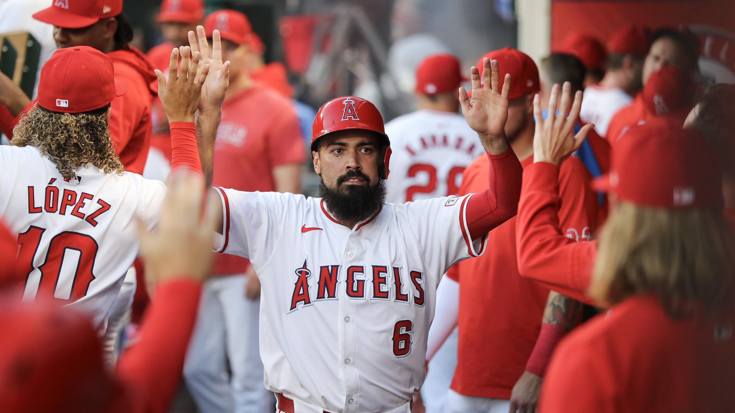 Los Angeles Dodgers v Los Angeles Angels Los Angeles Dodgers v Los Angeles Angels