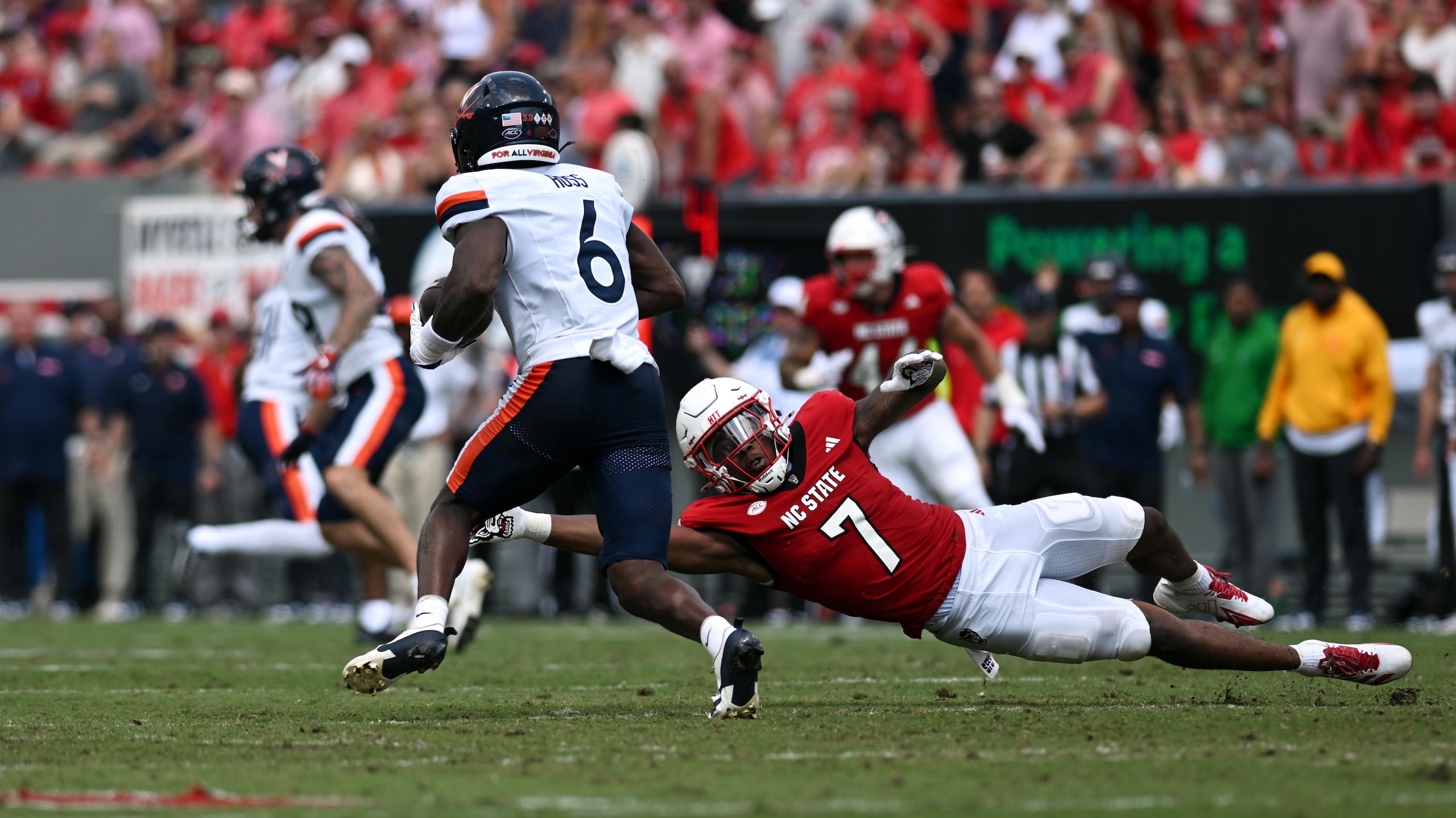 COLLEGE FOOTBALL: SEP 06 Virginia at NC State