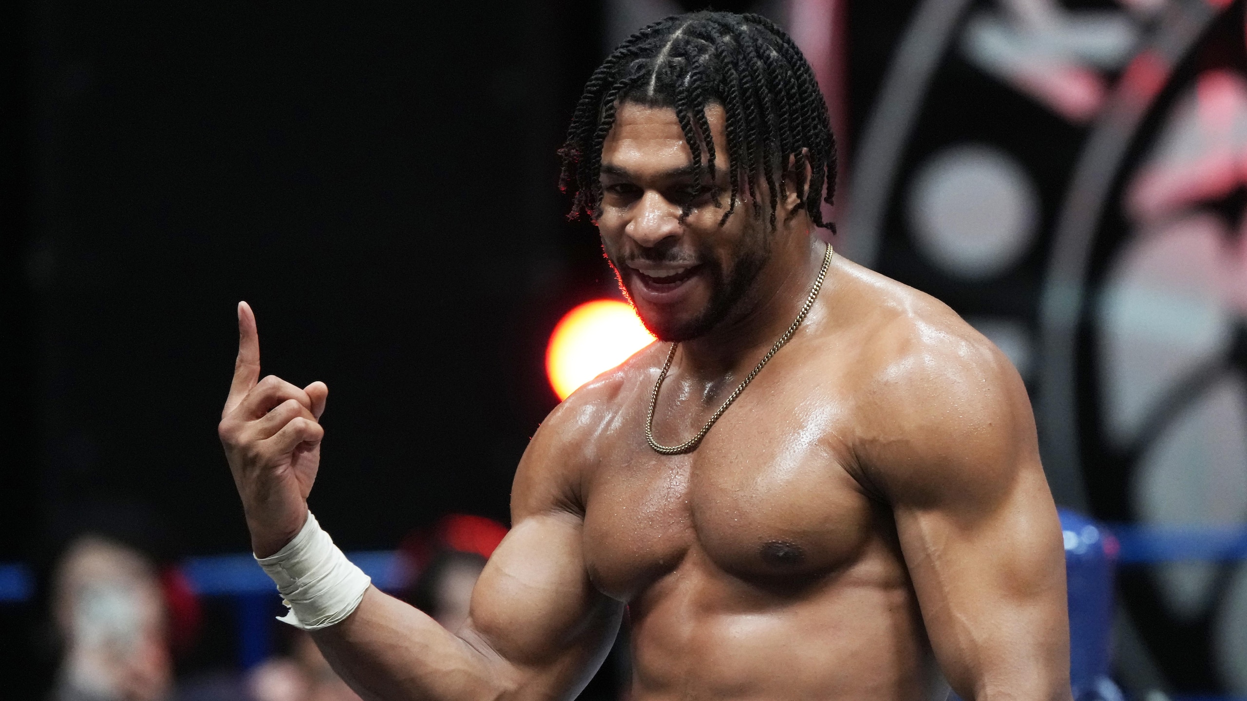 New Japan Pro-Wrestling New Japan Pro-Wrestling