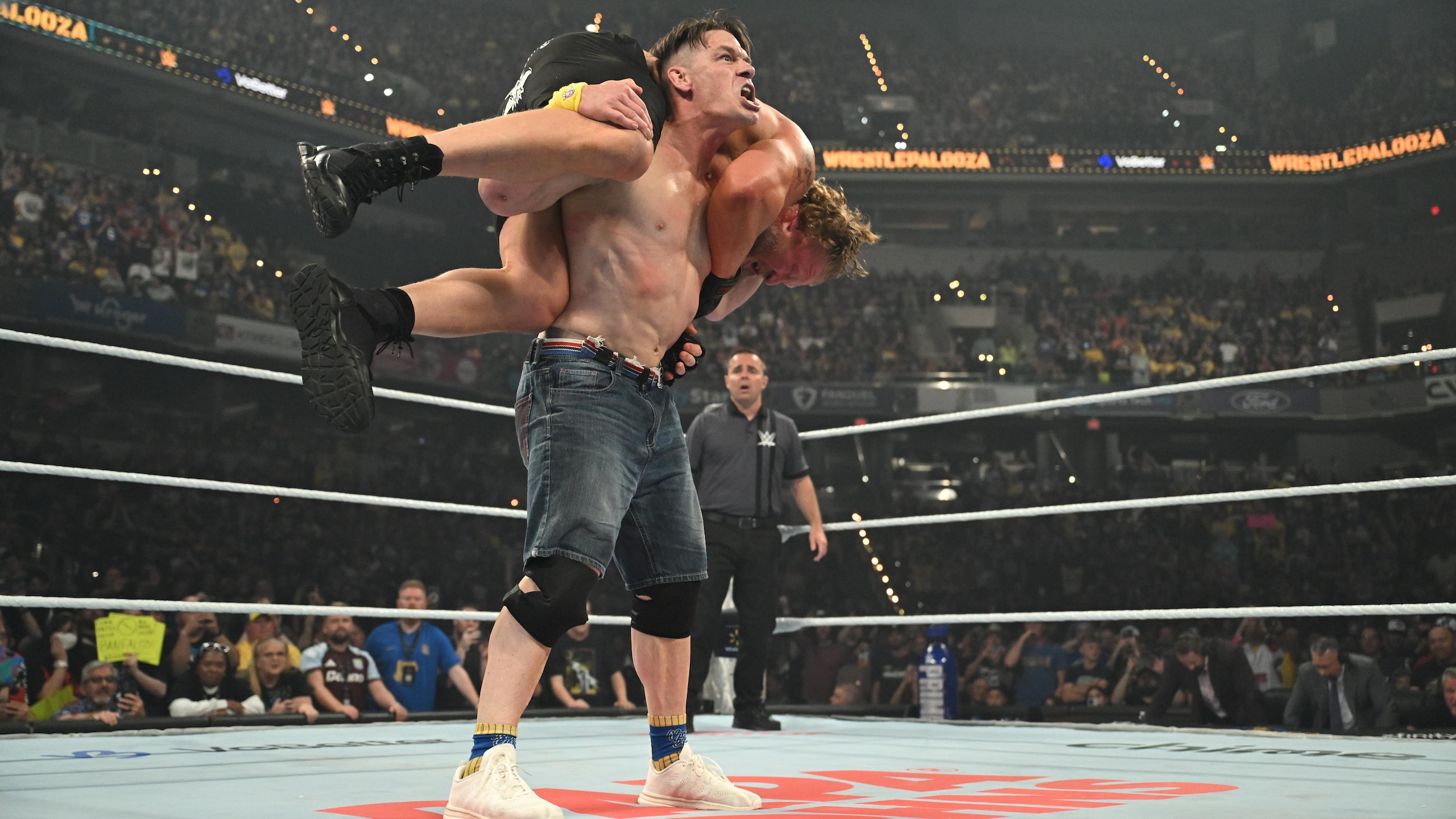 WWE - Wrestlepalooza