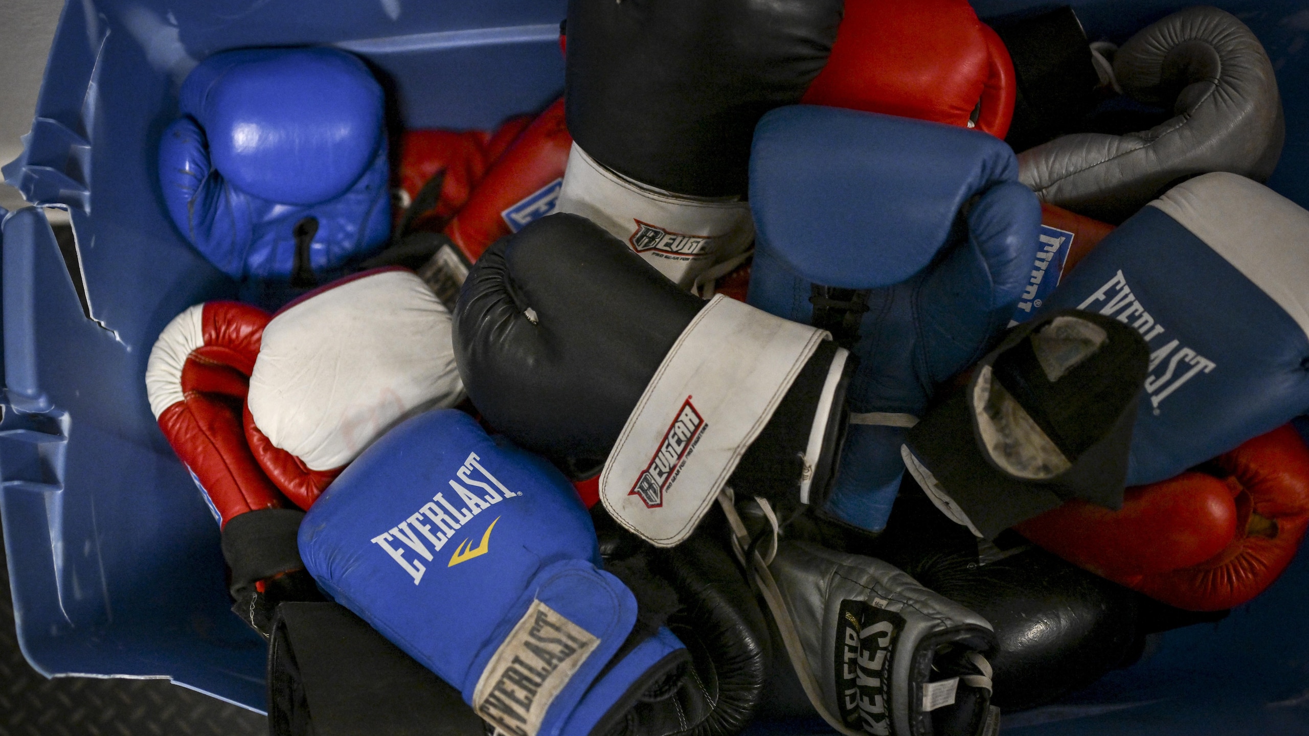 BOXING DENVER
