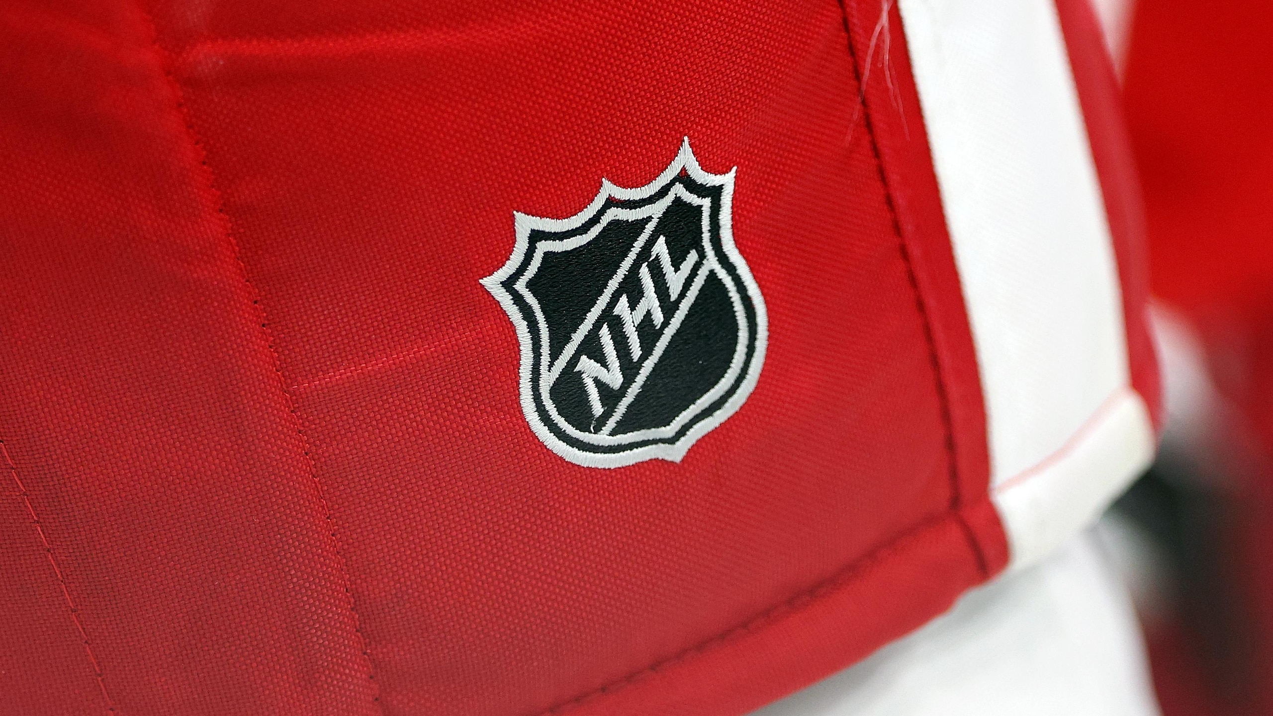 Detroit Red Wings v Minnesota Wild