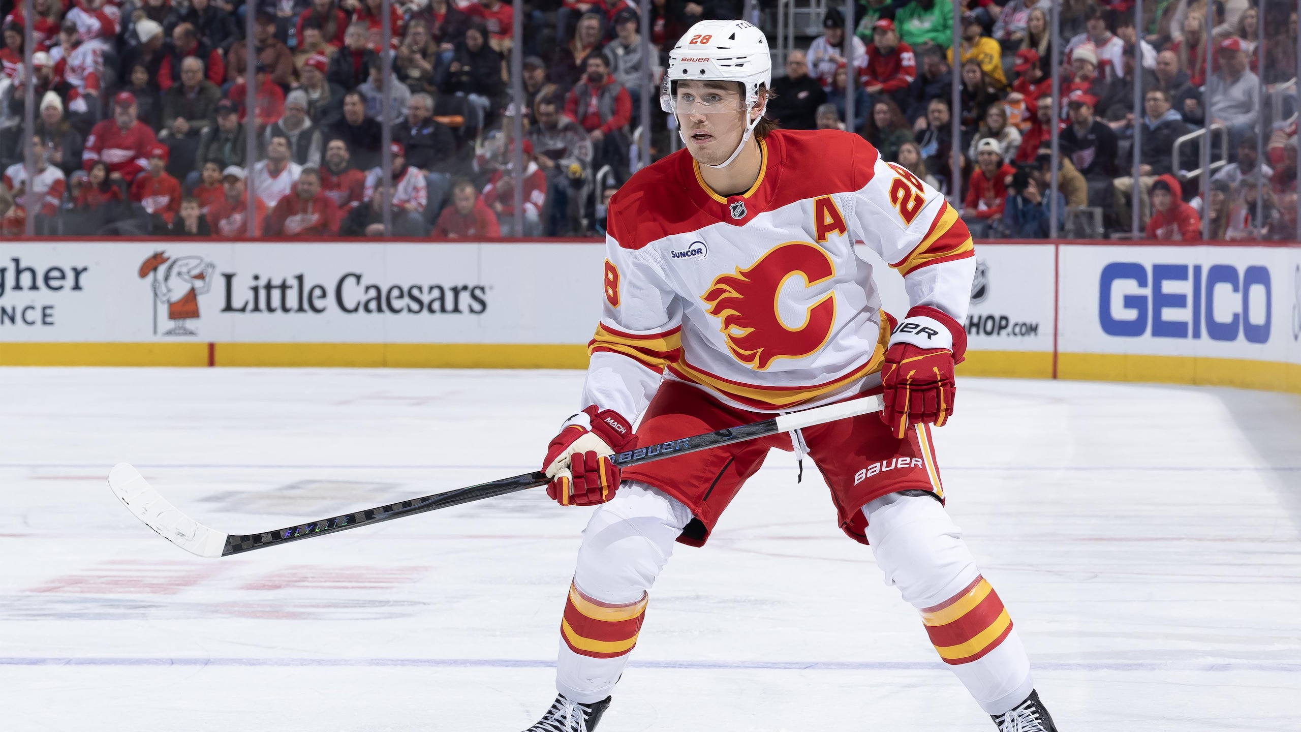 Calgary Flames v Detroit Red Wings