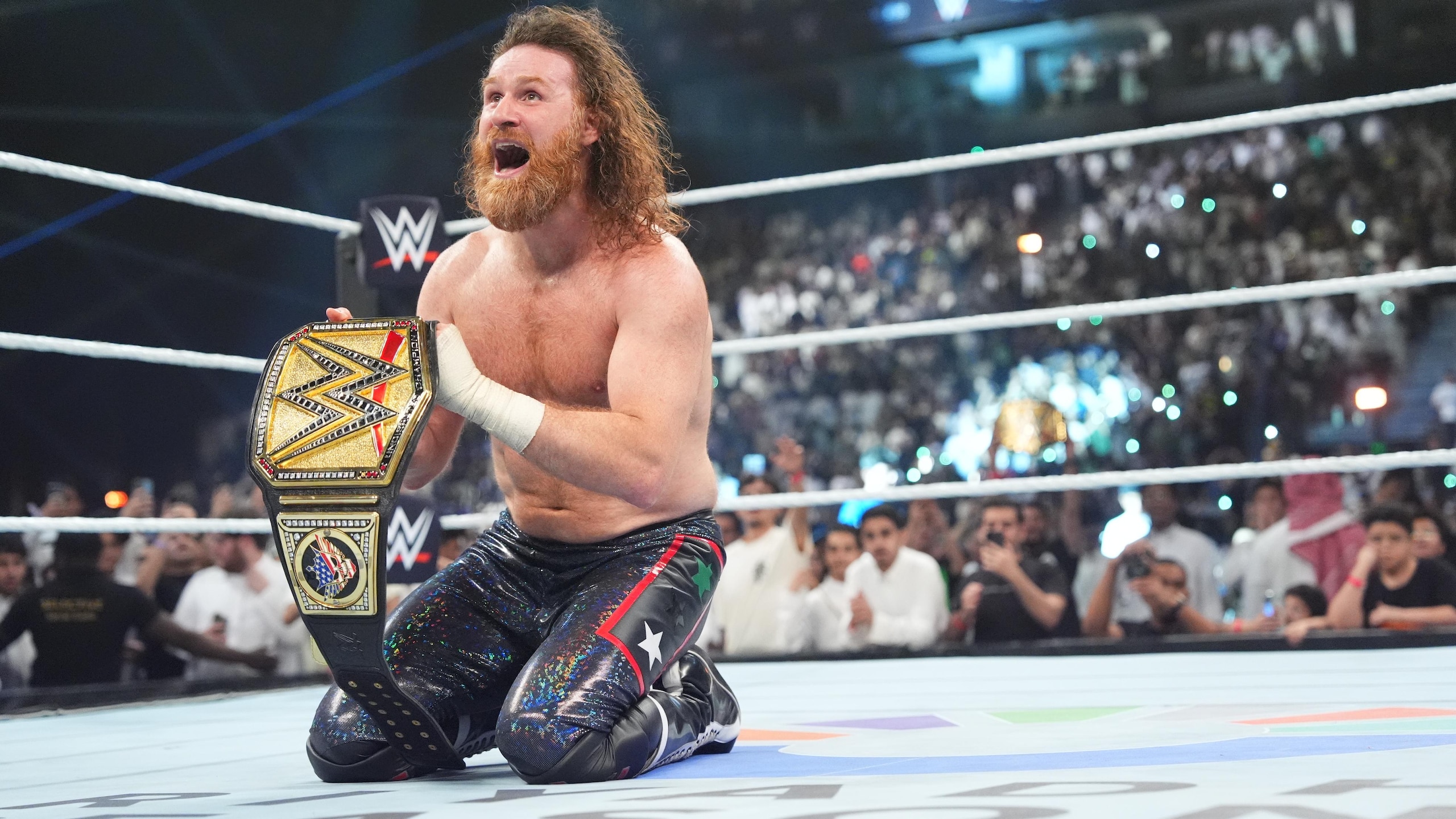 WWE: Night Of Champions WWE: Night Of Champions