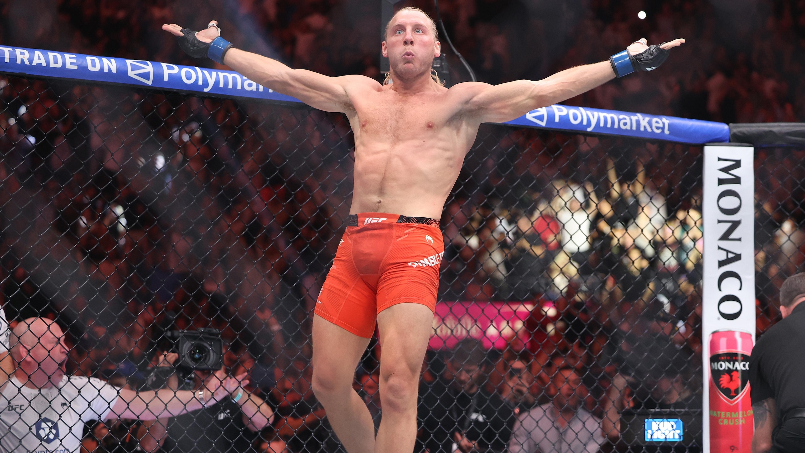 UFC 329: McGregor v Holloway 2