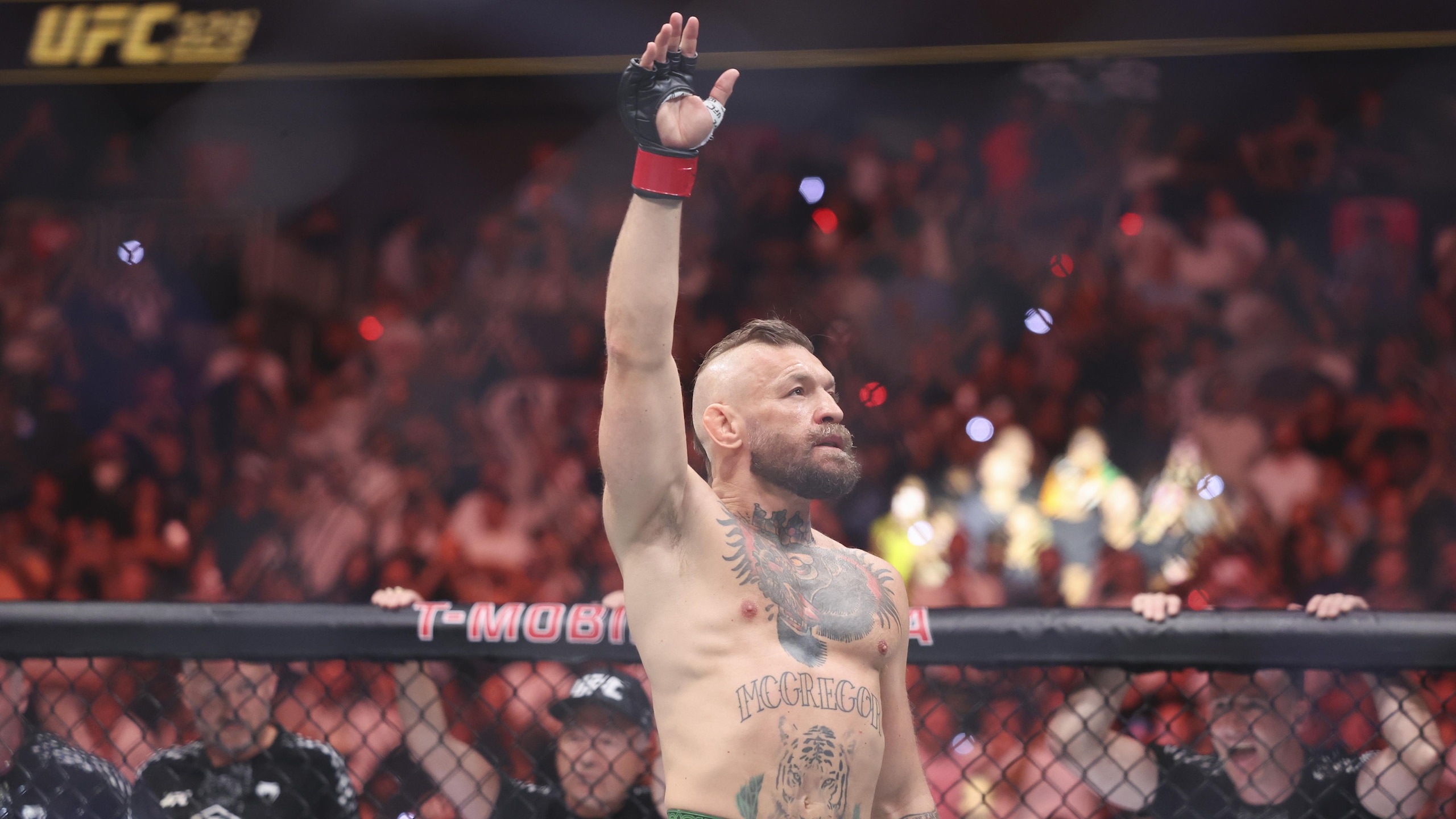 UFC 329