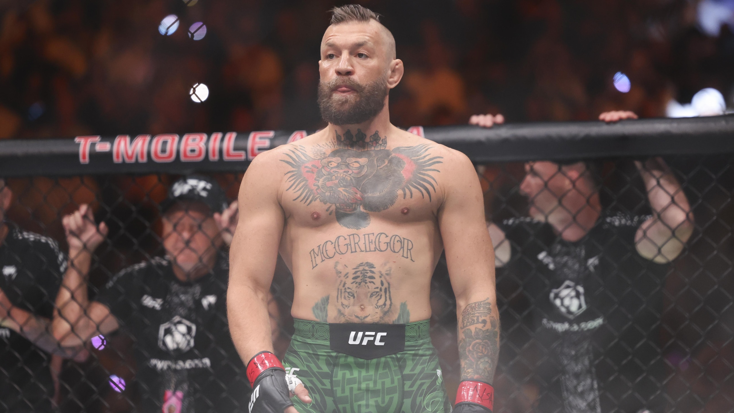 UFC 329 UFC 329