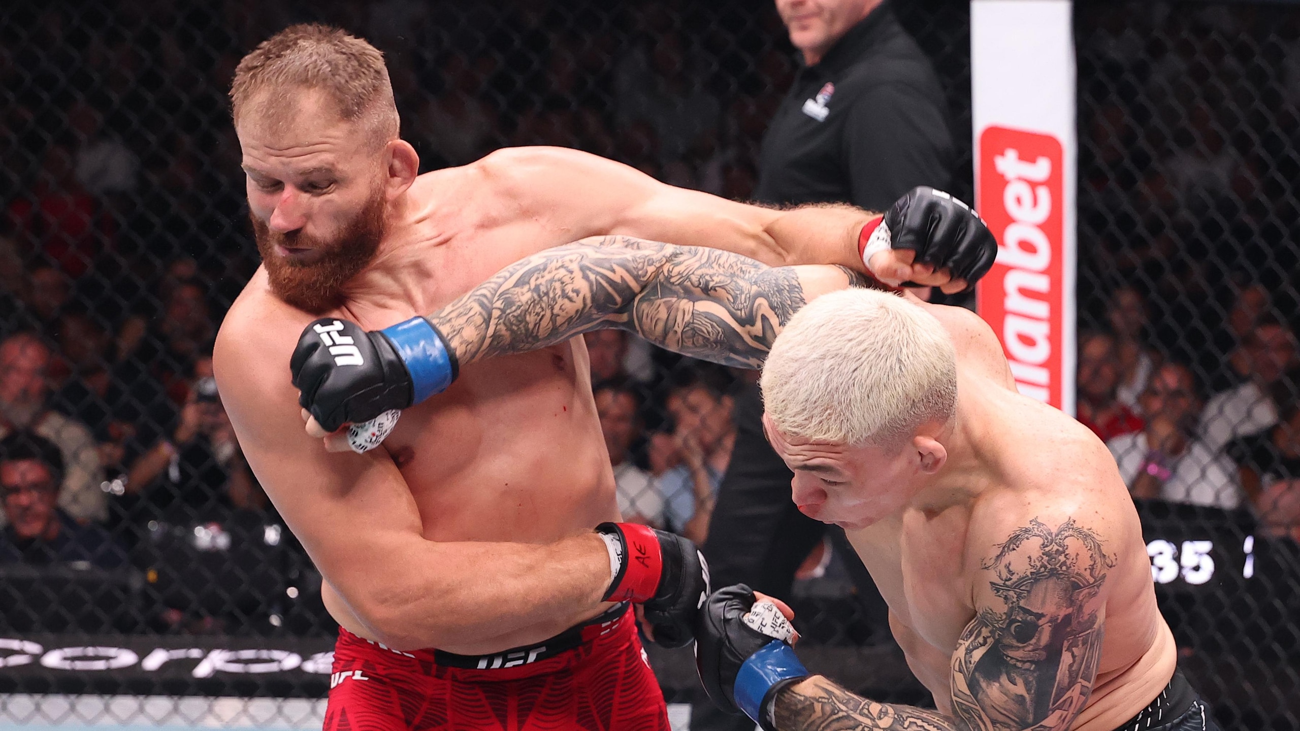 UFC Fight Night: Blachowicz v Stirling