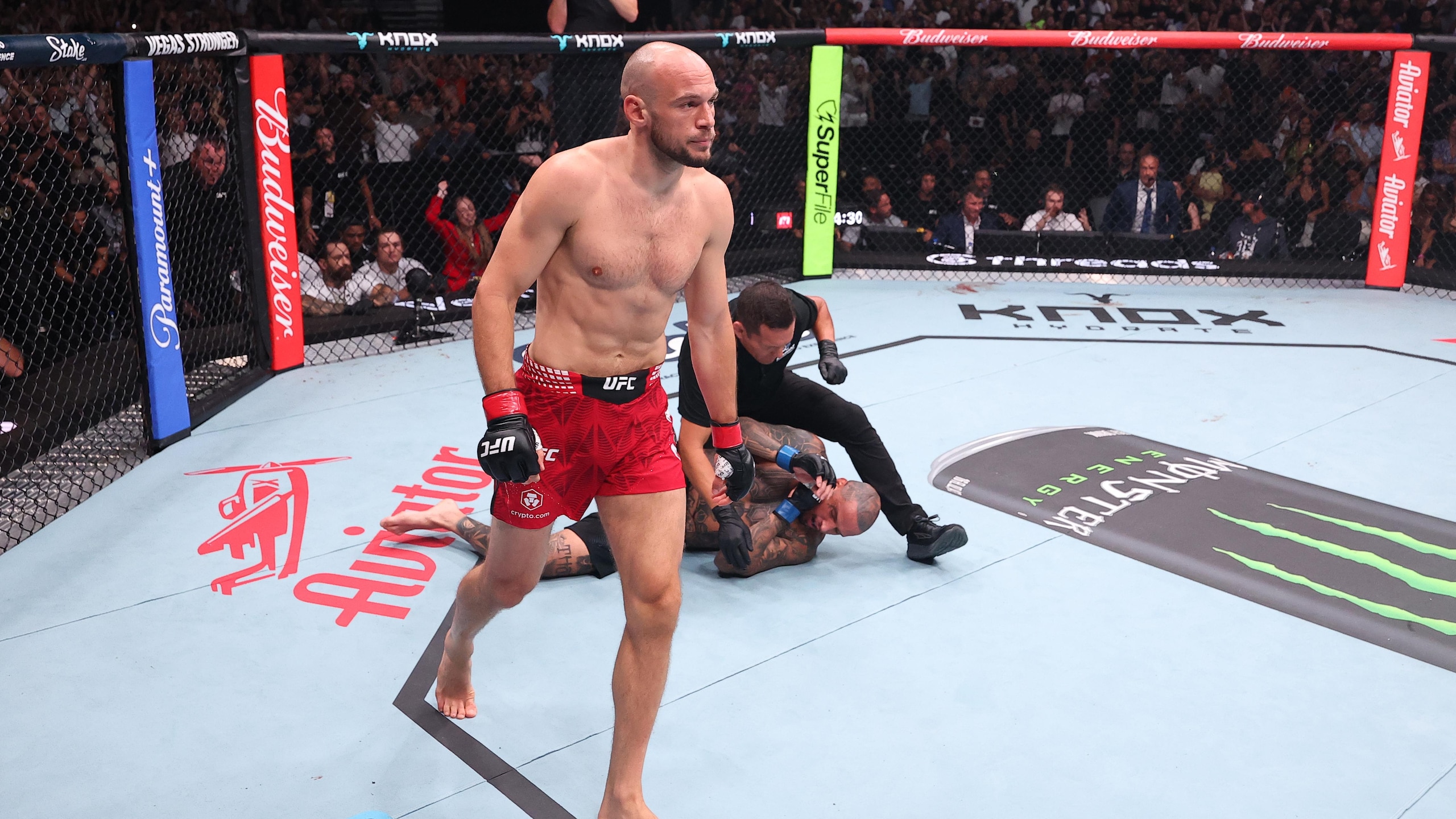UFC Fight Night: Medic vs Rodriguez