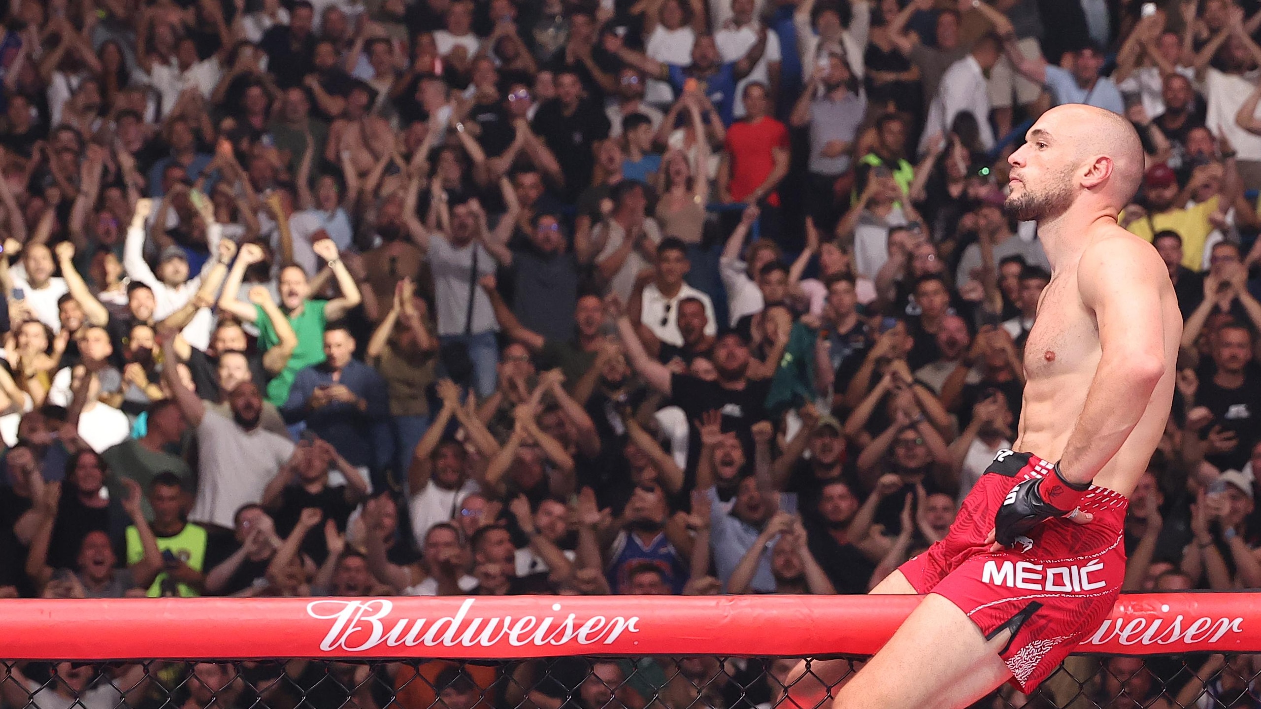 UFC Fight Night: Medic vs Rodriguez UFC Fight Night: Medic vs Rodriguez
