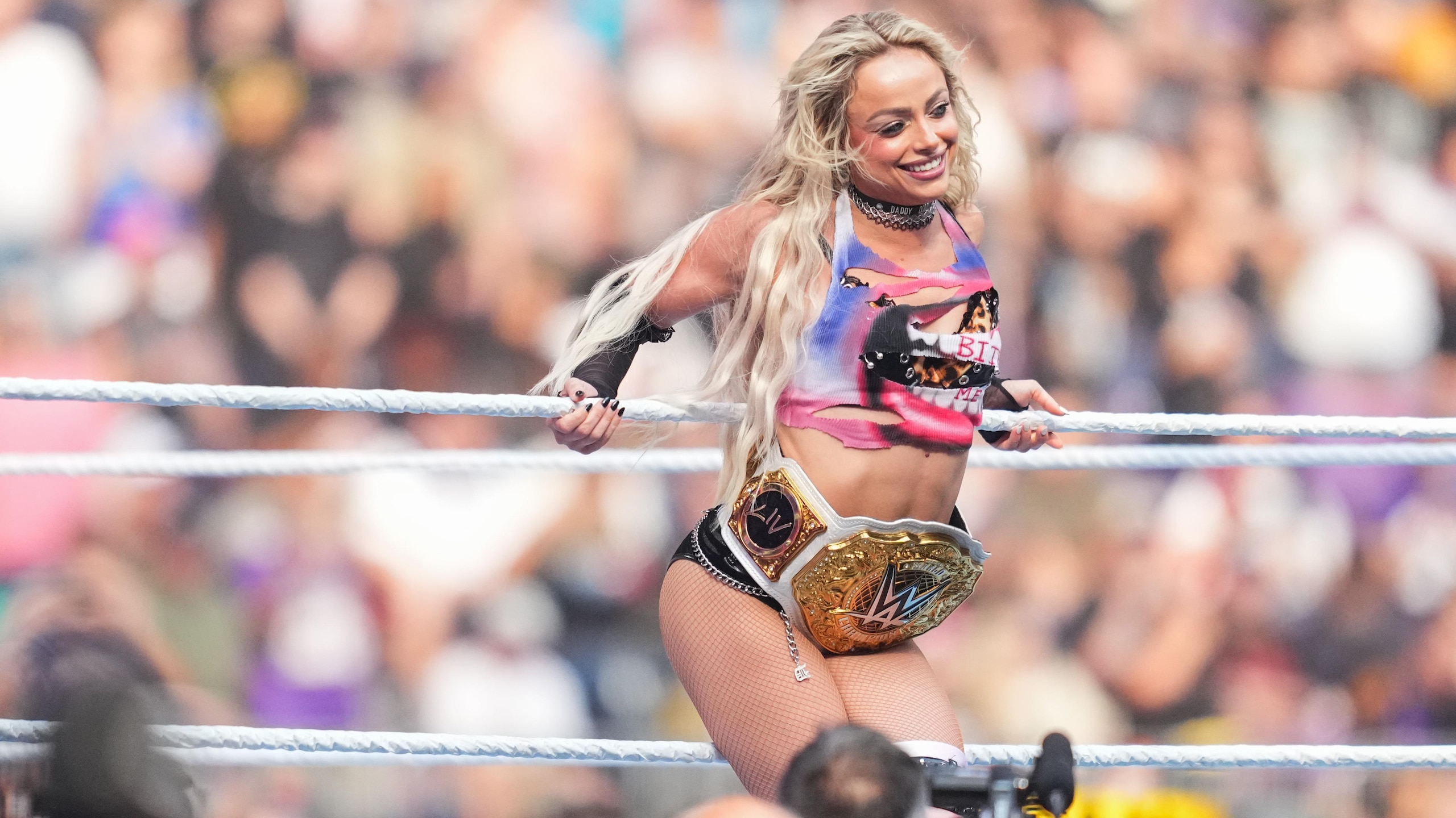 WWE SummerSlam WWE SummerSlam