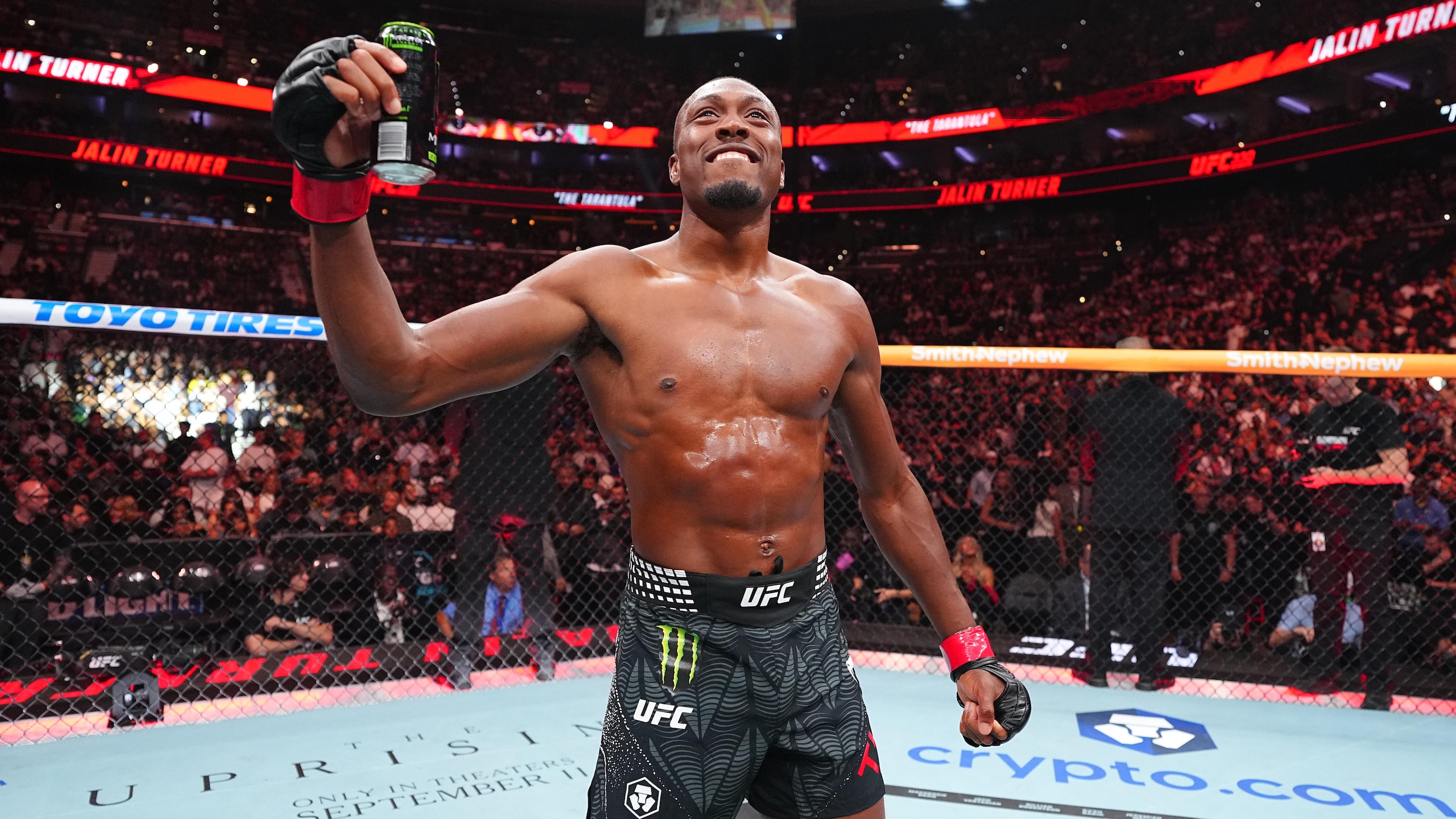 UFC 330: Turner v Fernandes