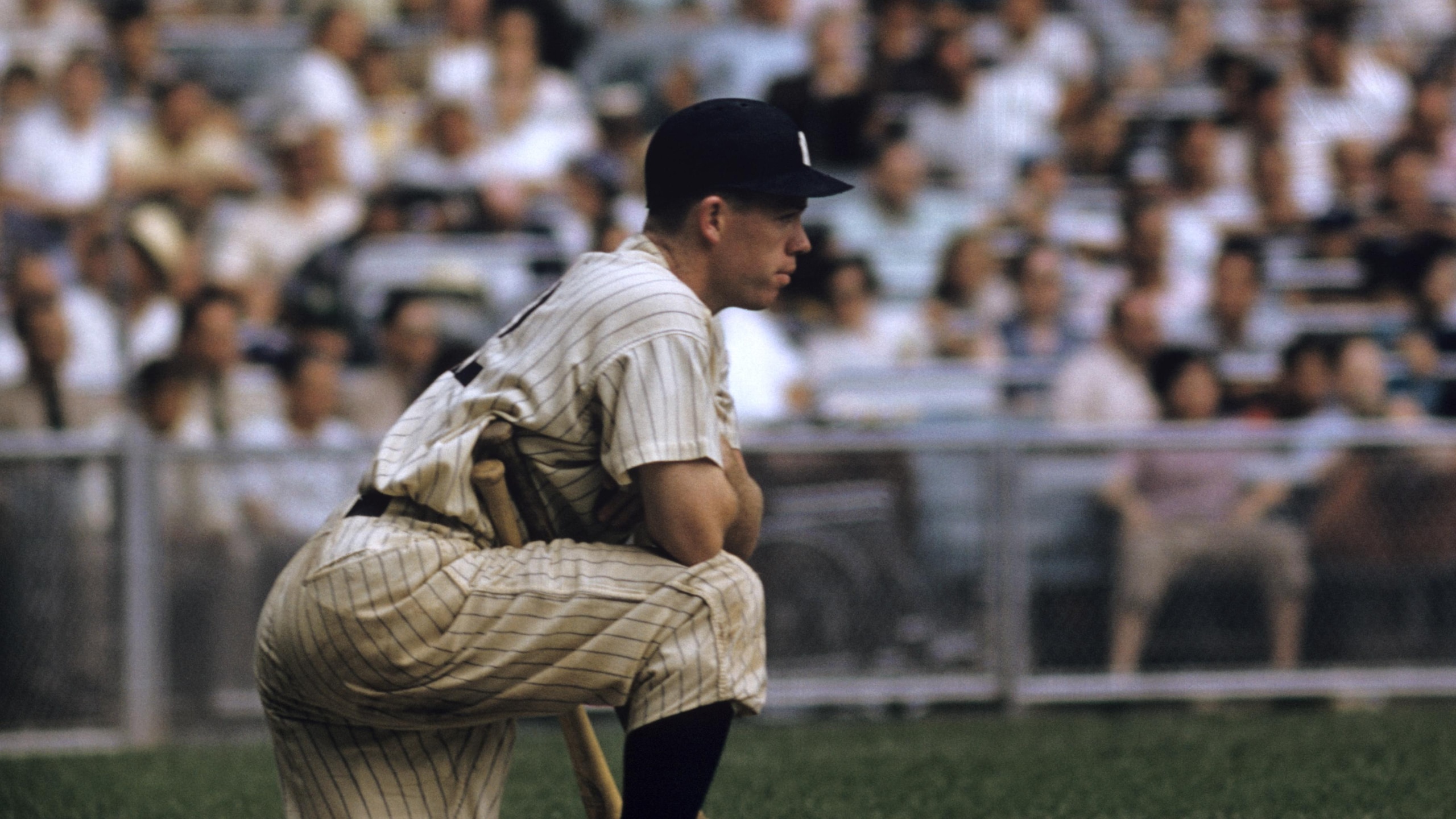 New York Yankees