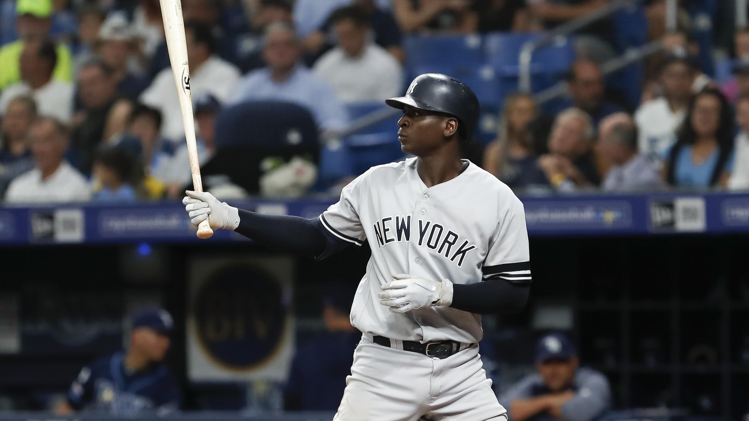 MLB: SEP 25 Yankees at Rays