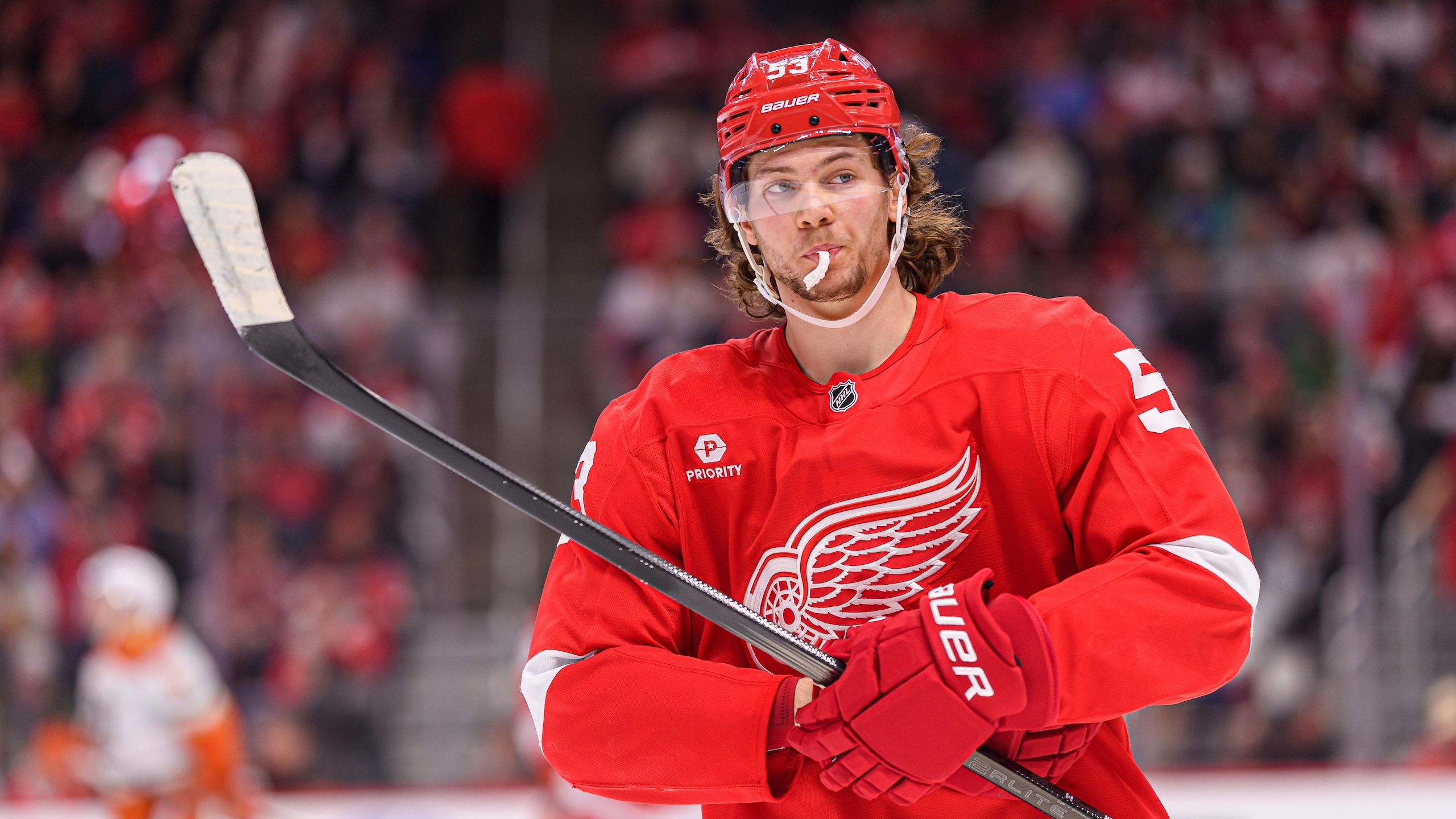 NHL: FEB 23 Ducks at Red Wings