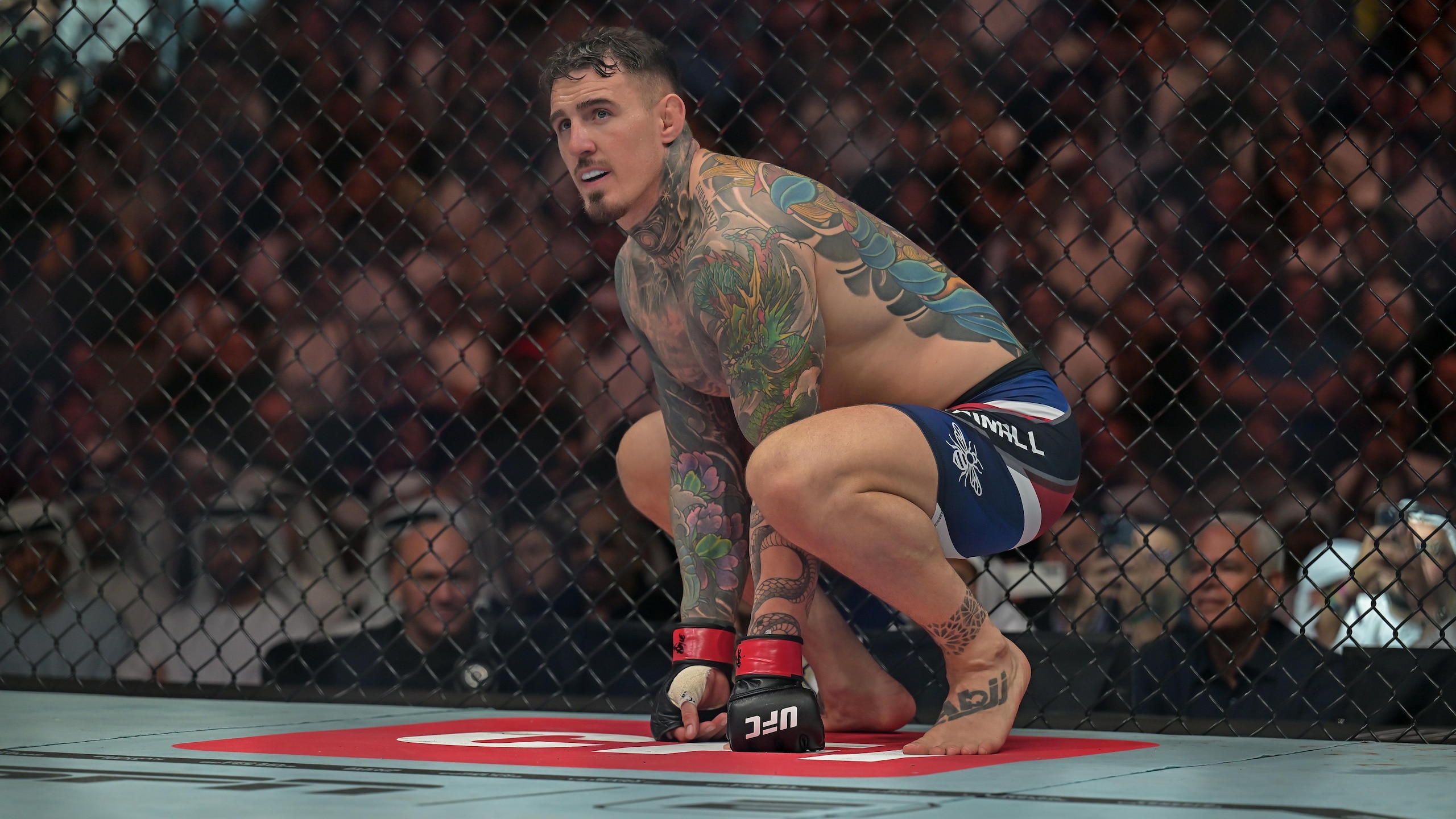 UFC 321: Aspinall v Gane