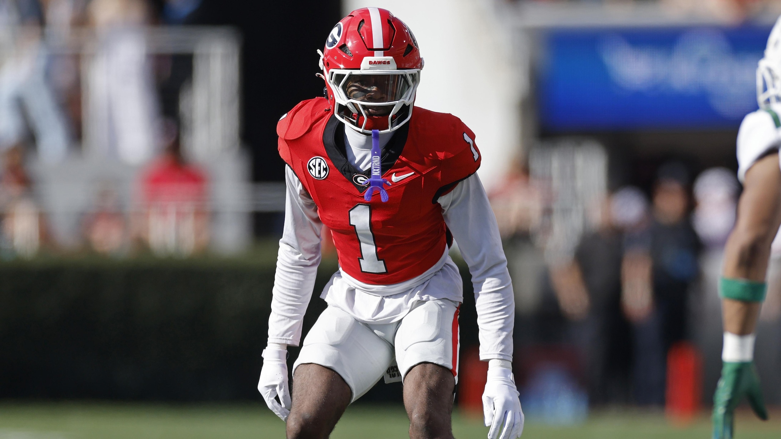 COLLEGE FOOTBALL: NOV 22 Charlotte at Georgia COLLEGE FOOTBALL: NOV 22 Charlotte at Georgia