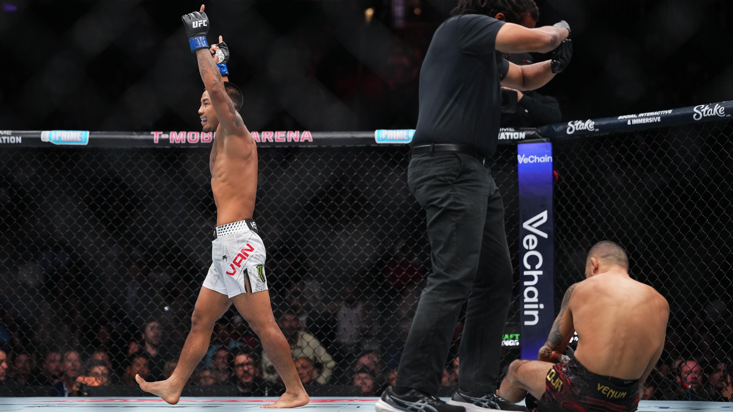 UFC 323: Pantoja v Van