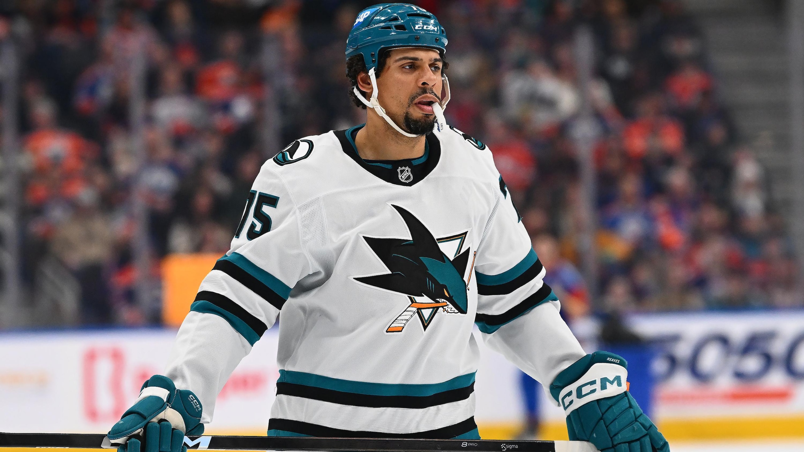 San Jose Sharks v Edmonton Oilers San Jose Sharks v Edmonton Oilers