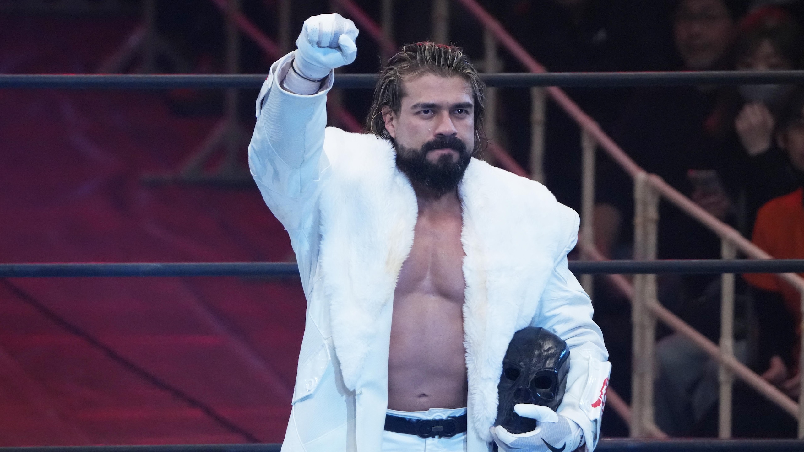 New Japan Pro-Wrestling