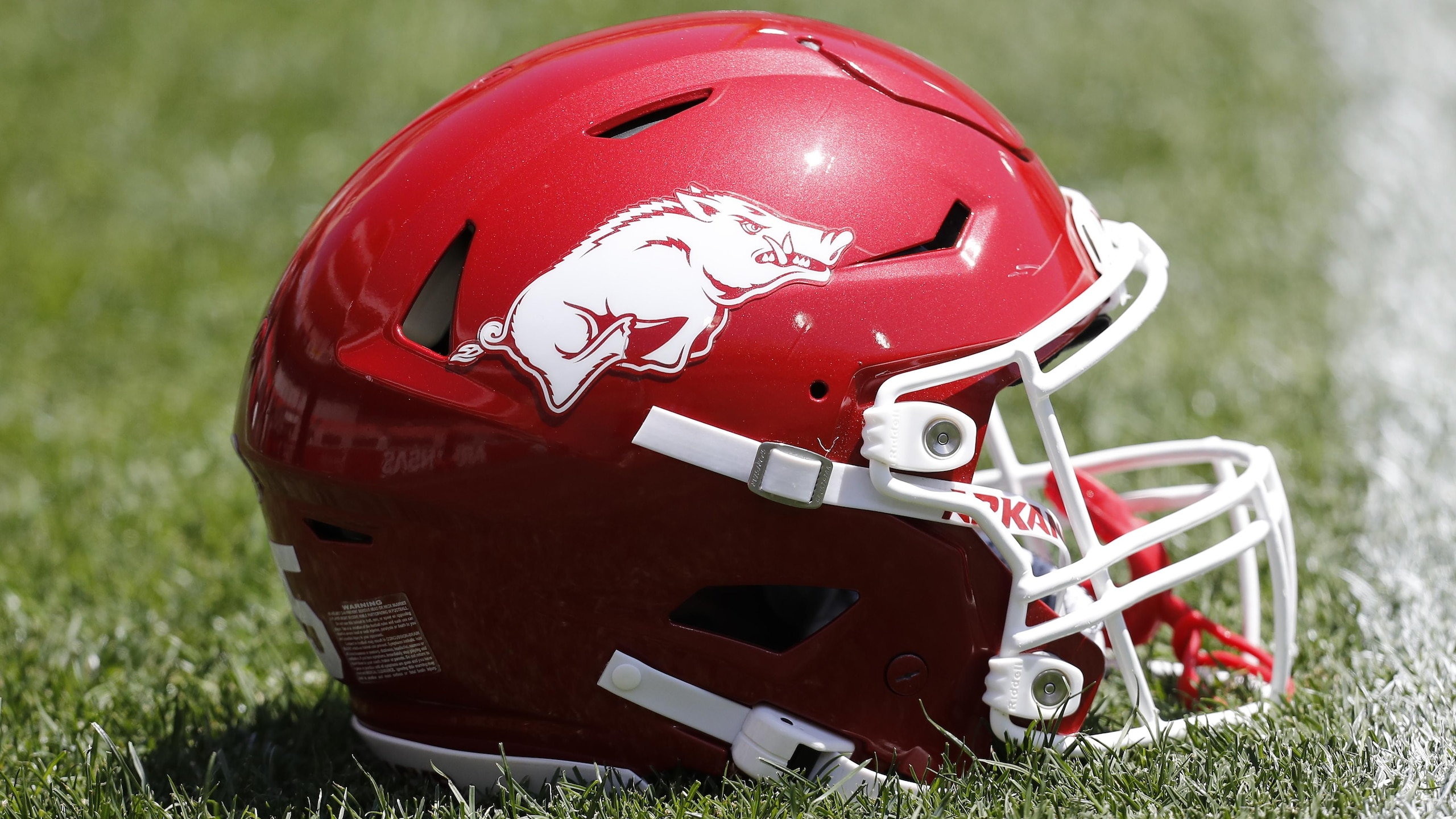 COLLEGE FOOTBALL: APR 25 Arkansas Spring Game COLLEGE FOOTBALL: APR 25 Arkansas Spring Game