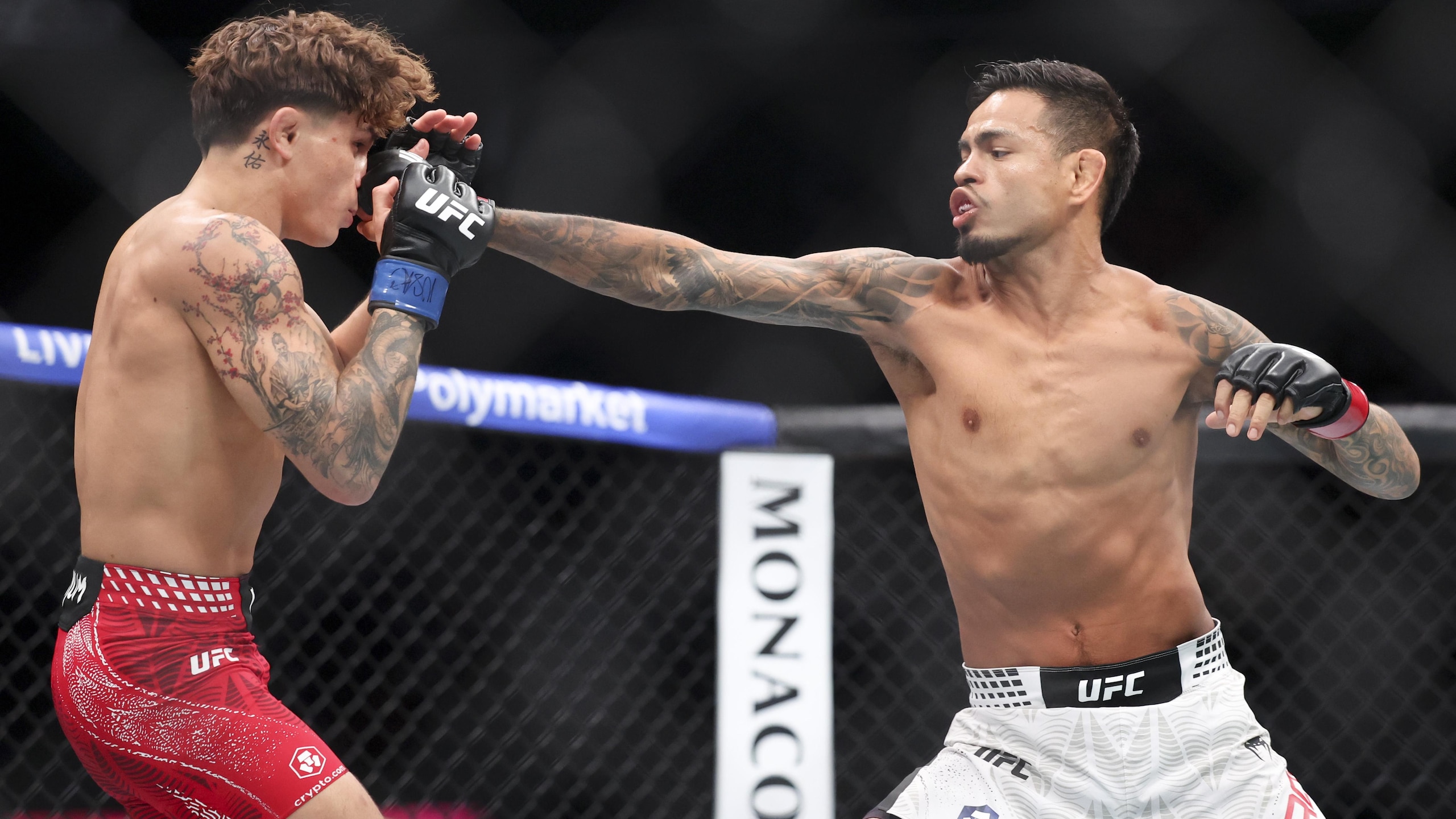 UFC 329 UFC 329