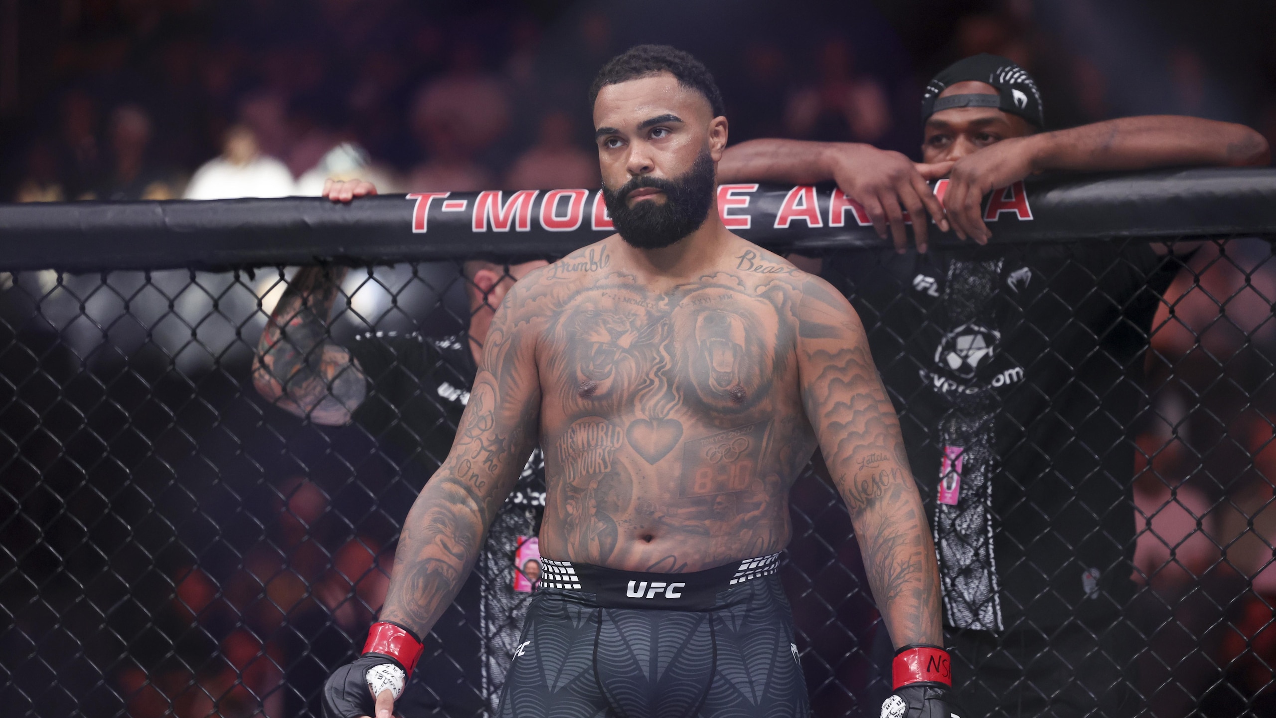 UFC 329