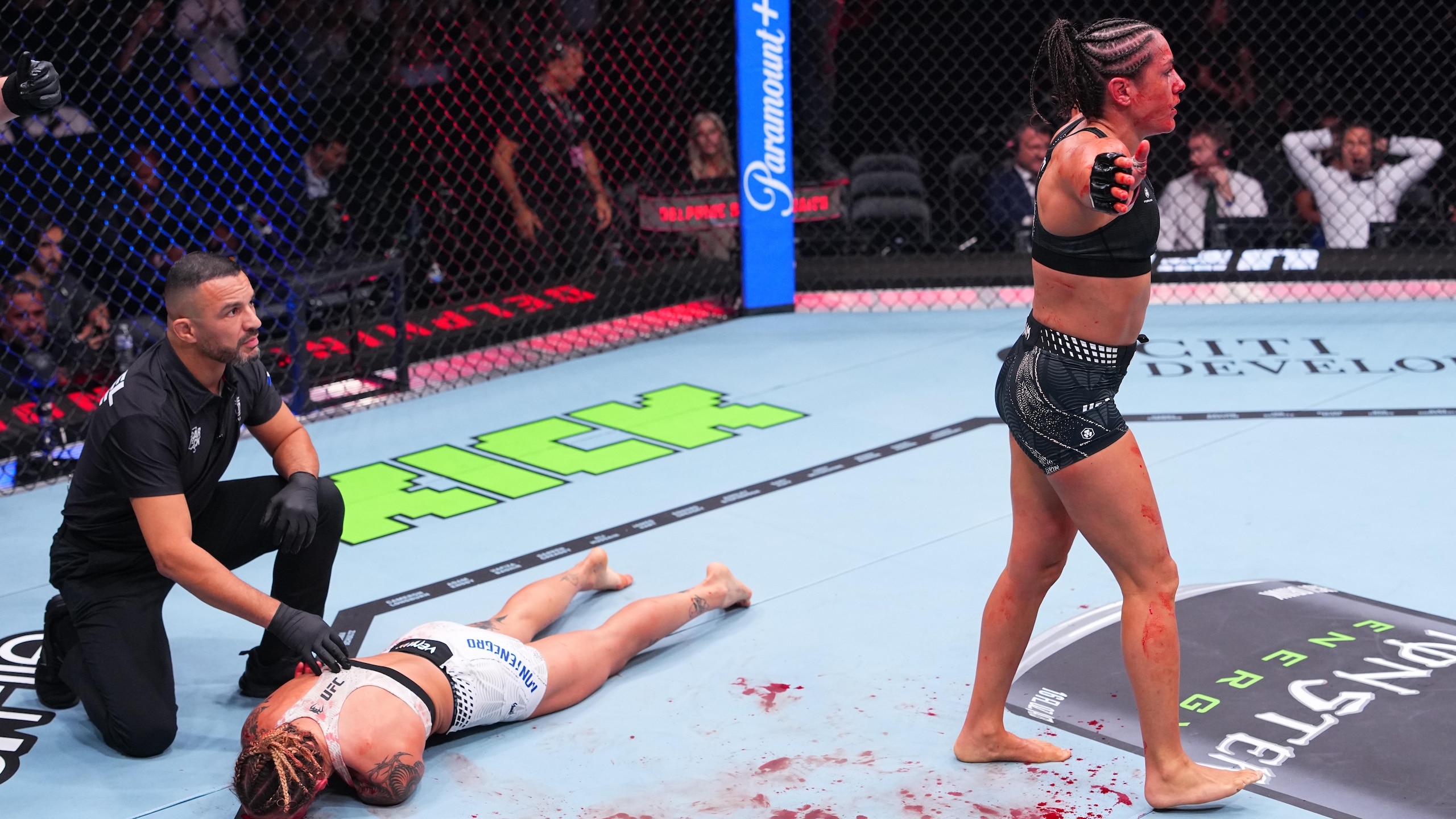 UFC Fight Night: Benouaich v Montenegro