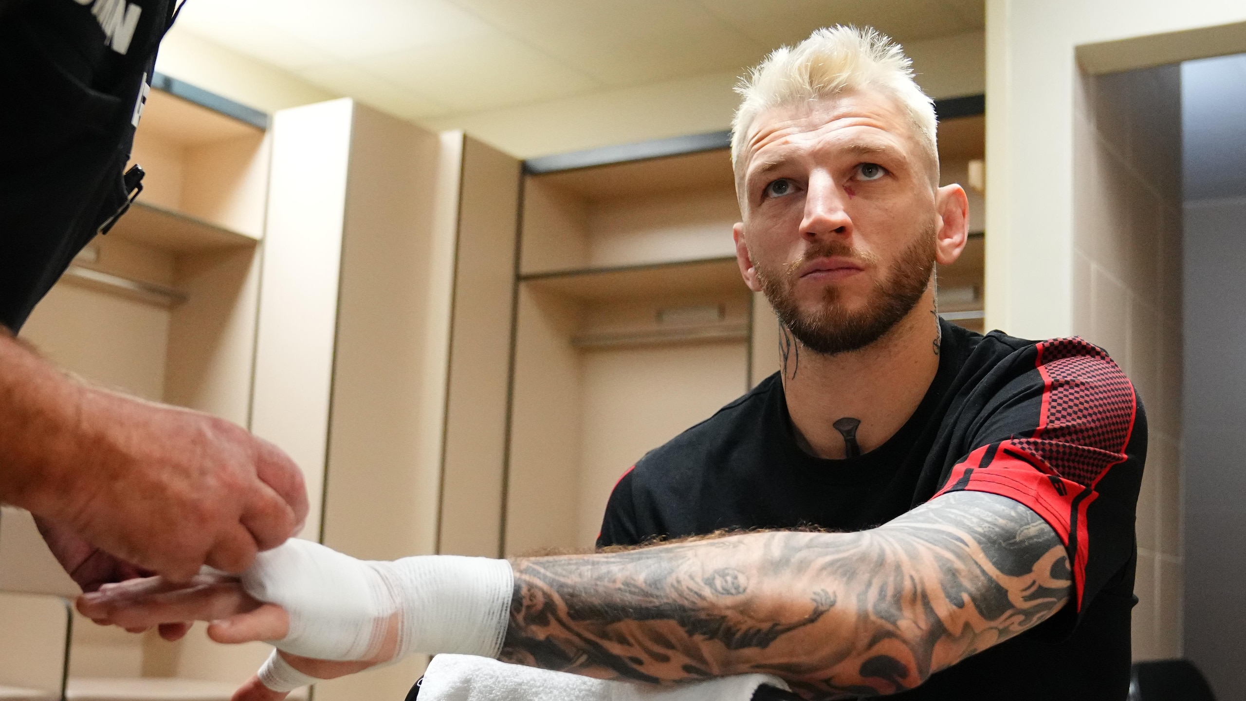 UFC Fight Night: Hooker vs Parnasse