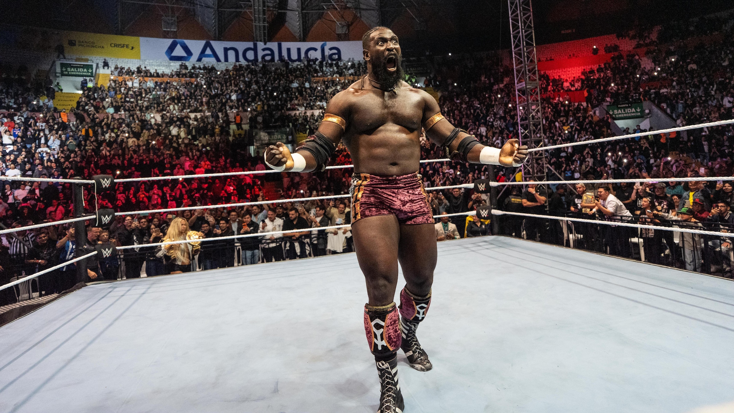 WWE Archive