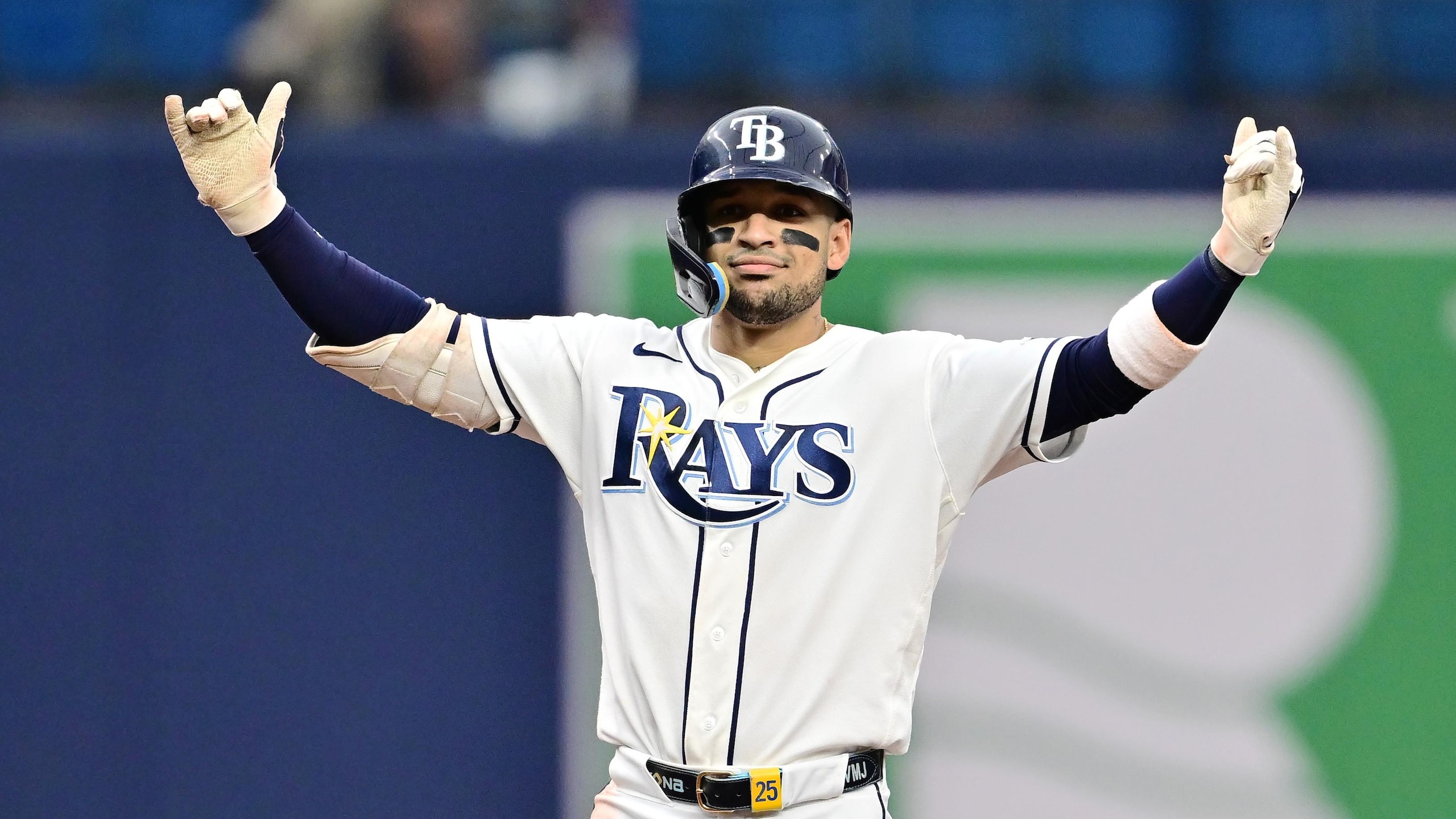 Houston Astros v Tampa Bay Rays