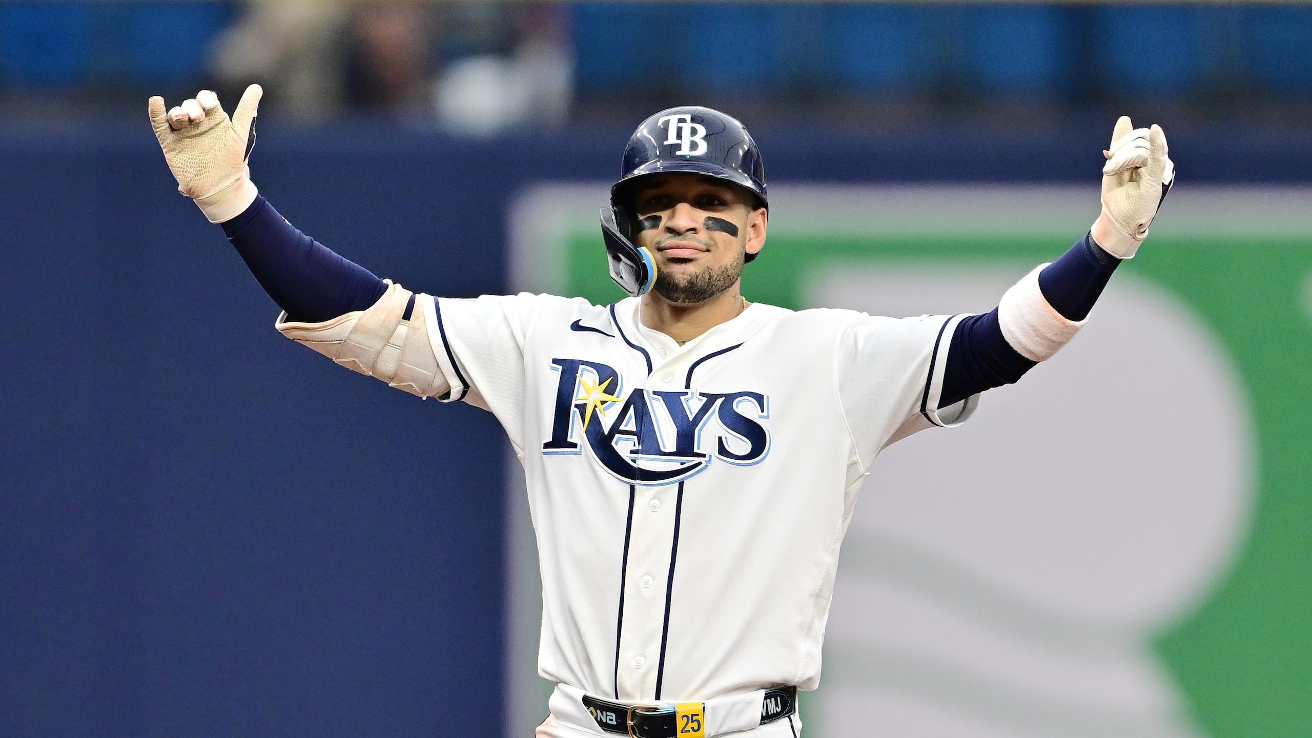 Houston Astros v Tampa Bay Rays