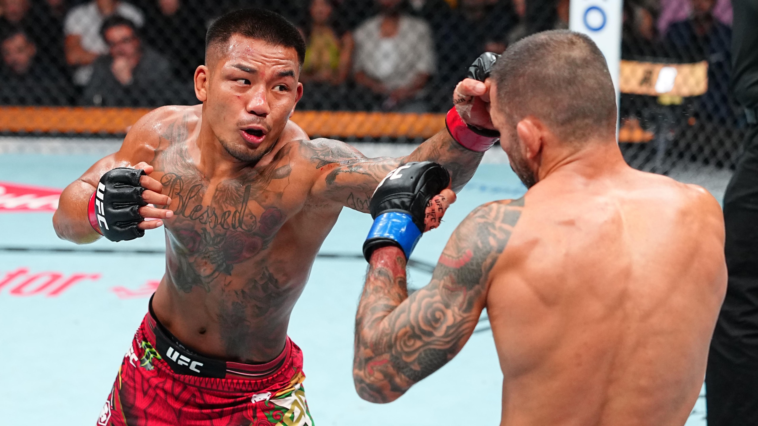 UFC 331: Van v Pantoja 2