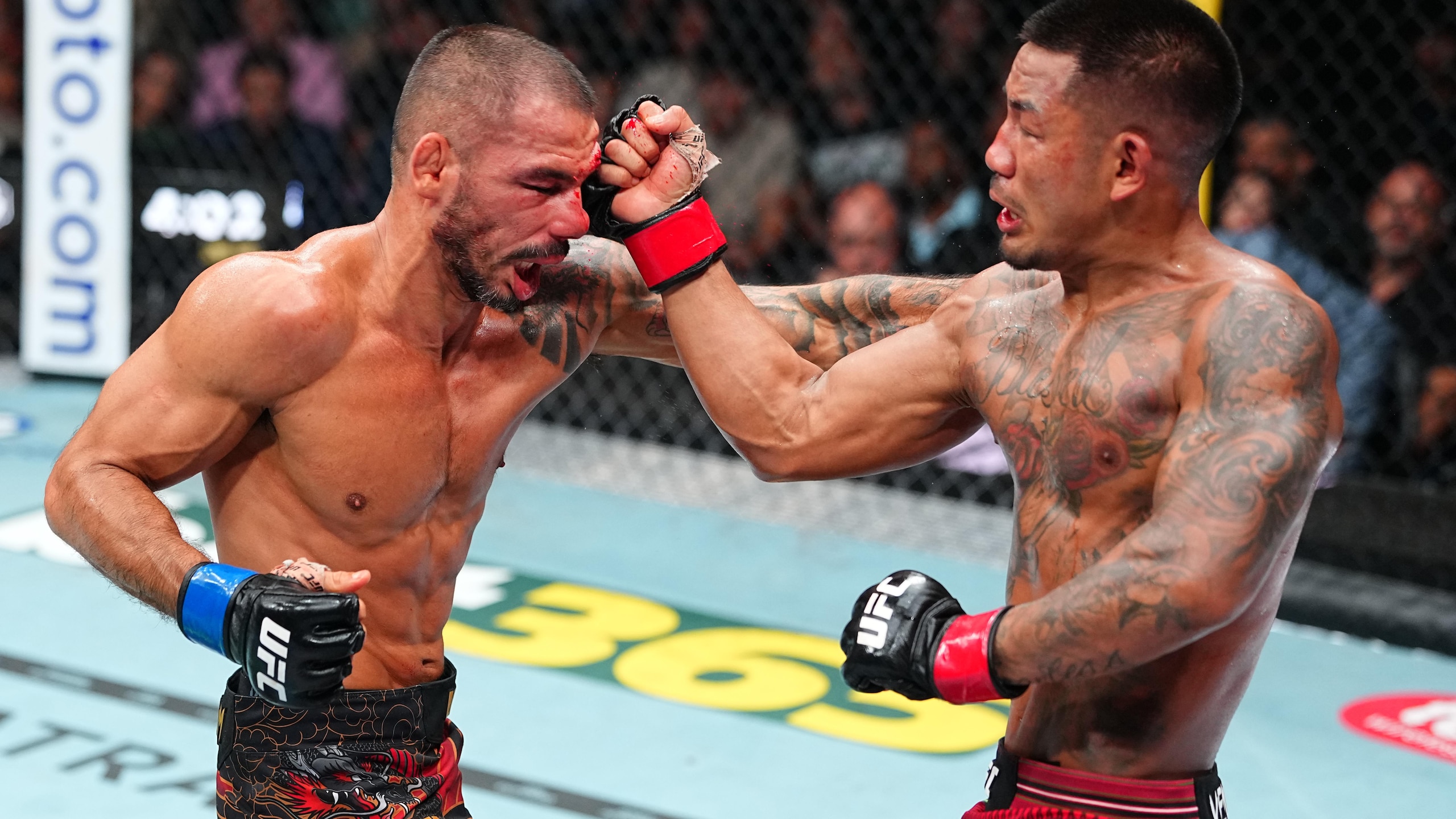 UFC 331: Van v Pantoja 2 UFC 331: Van v Pantoja 2